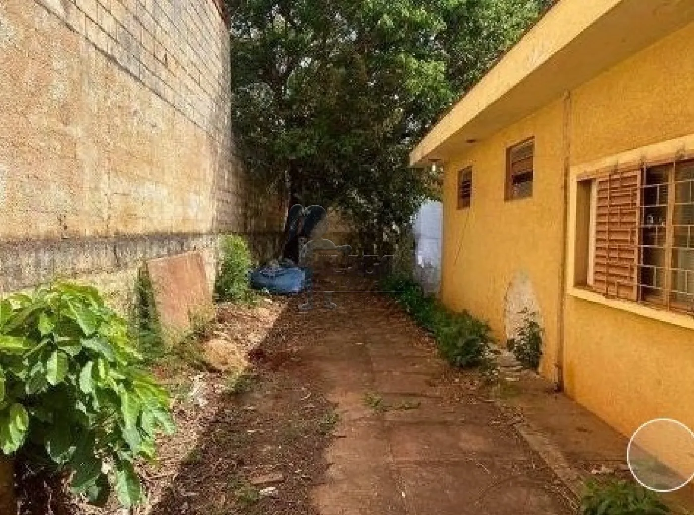 Comprar Terreno / Padrão em Ribeirão Preto R$ 800.000,00 - Foto 1