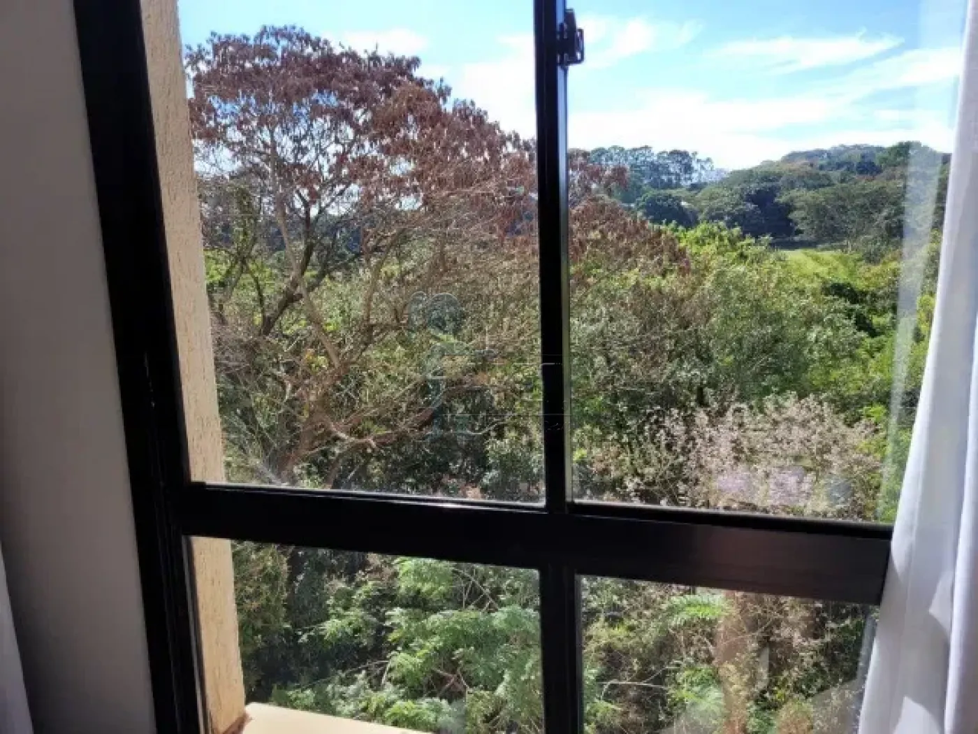 Comprar Apartamentos / Padrão em Ribeirão Preto R$ 260.000,00 - Foto 3