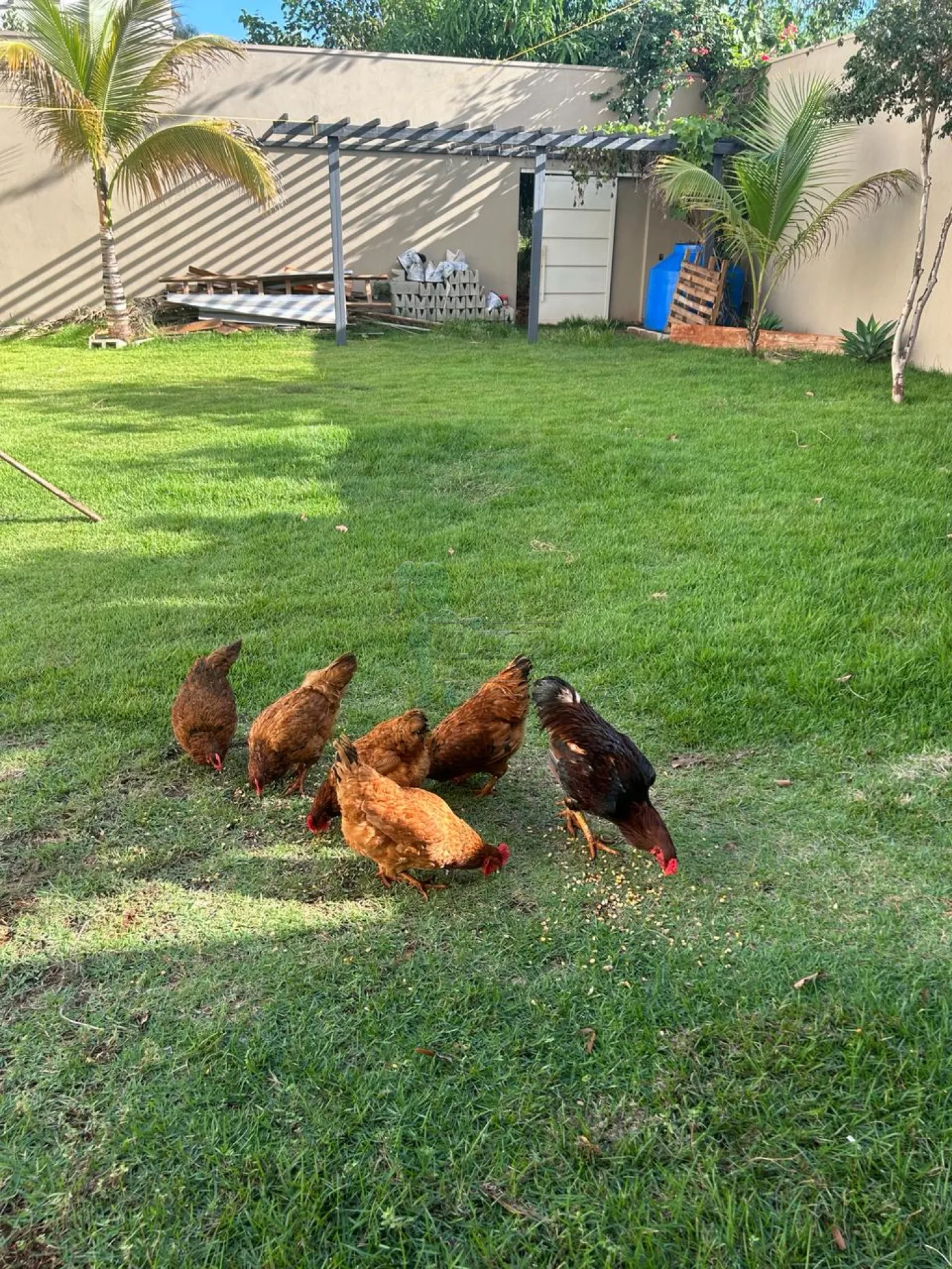 Comprar Terreno / Padrão em Ribeirão Preto R$ 1.100.000,00 - Foto 7