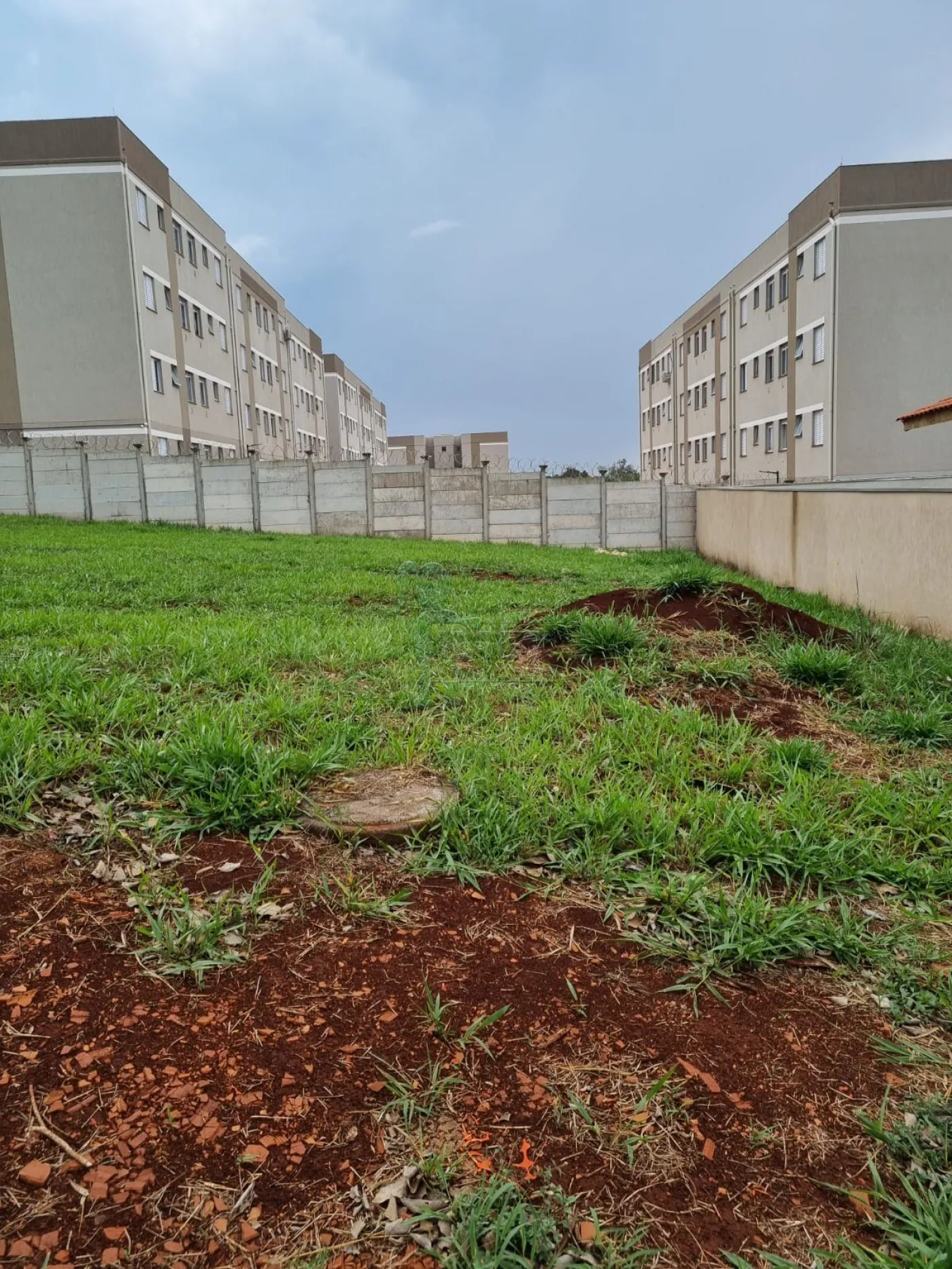 Alugar Terreno / Padrão em Bonfim Paulista R$ 1.100,00 - Foto 1