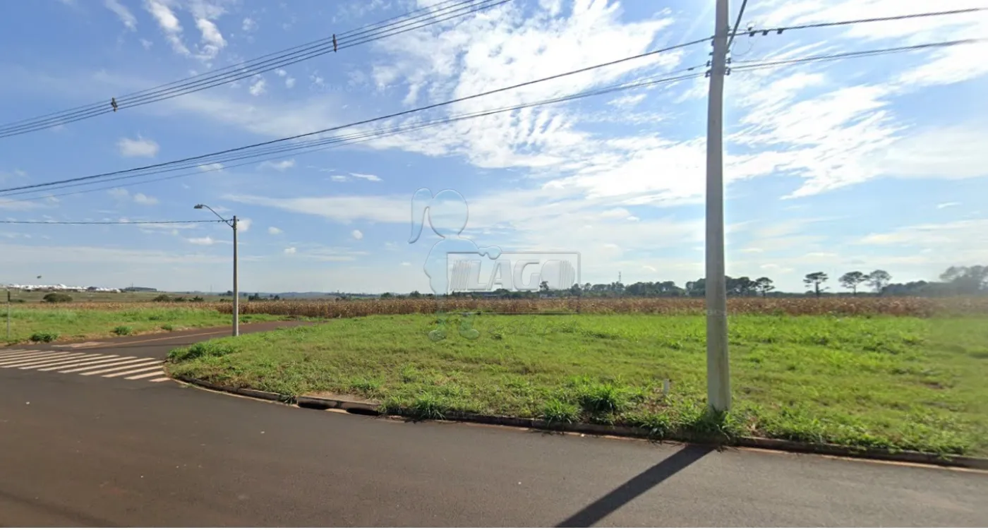 Comprar Terreno / Padrão em Ribeirão Preto R$ 503.000,00 - Foto 1