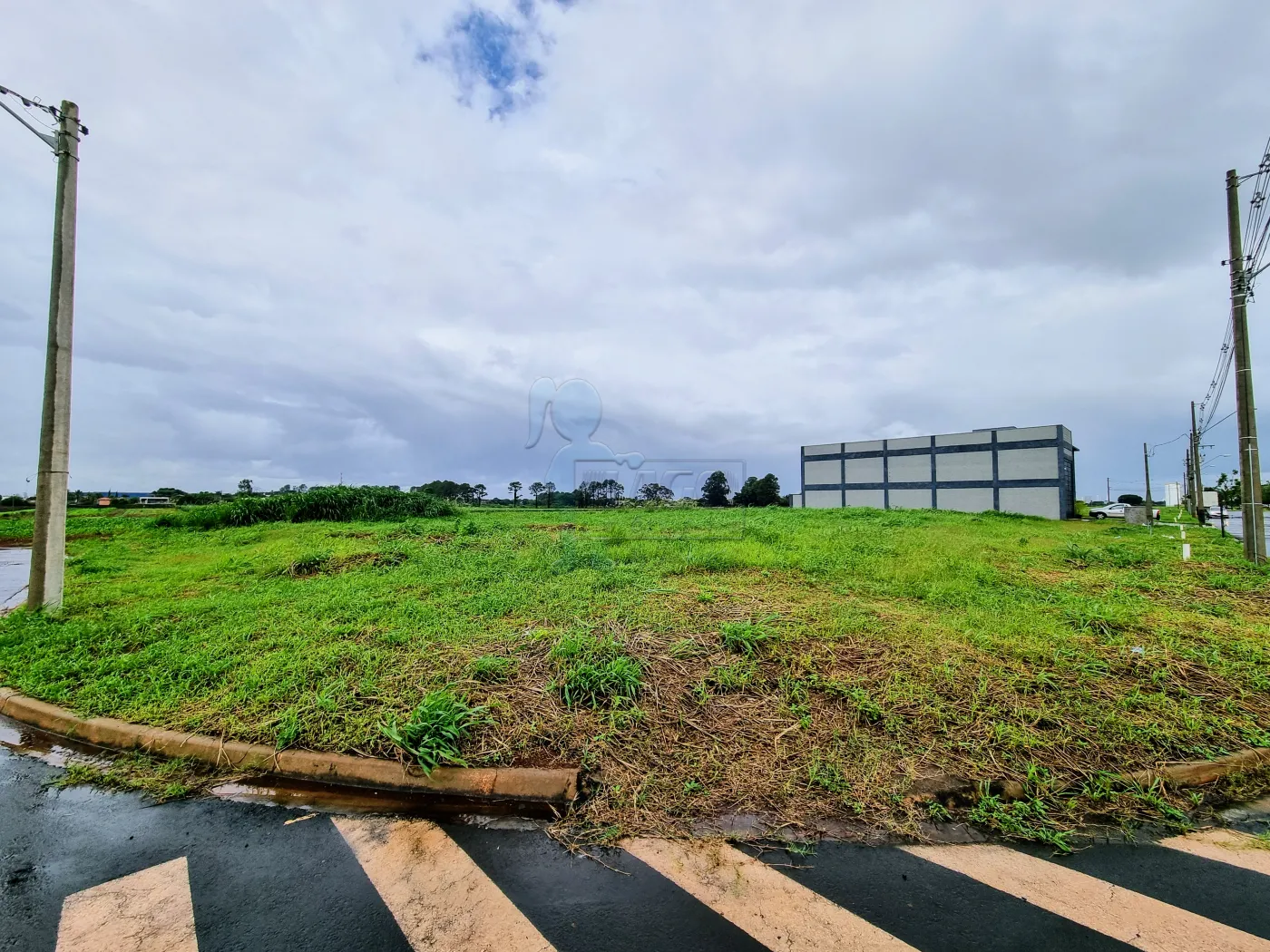 Comprar Terreno / Comercial em Ribeirão Preto R$ 345.000,00 - Foto 1