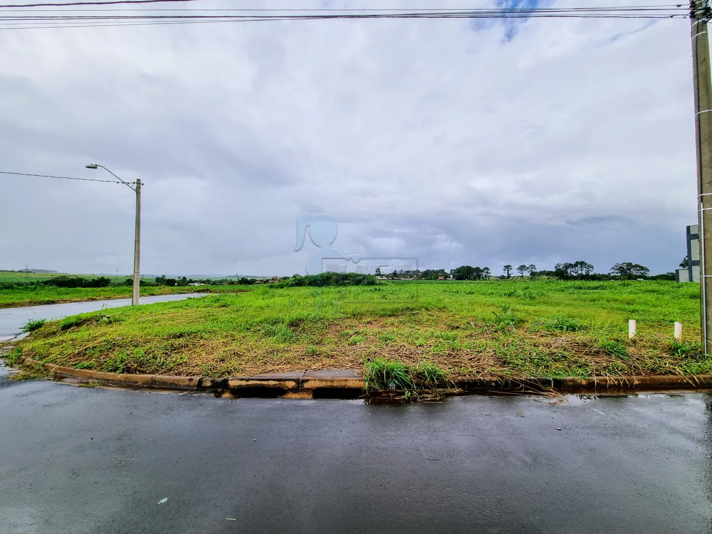 Comprar Terreno / Comercial em Ribeirão Preto R$ 345.000,00 - Foto 2