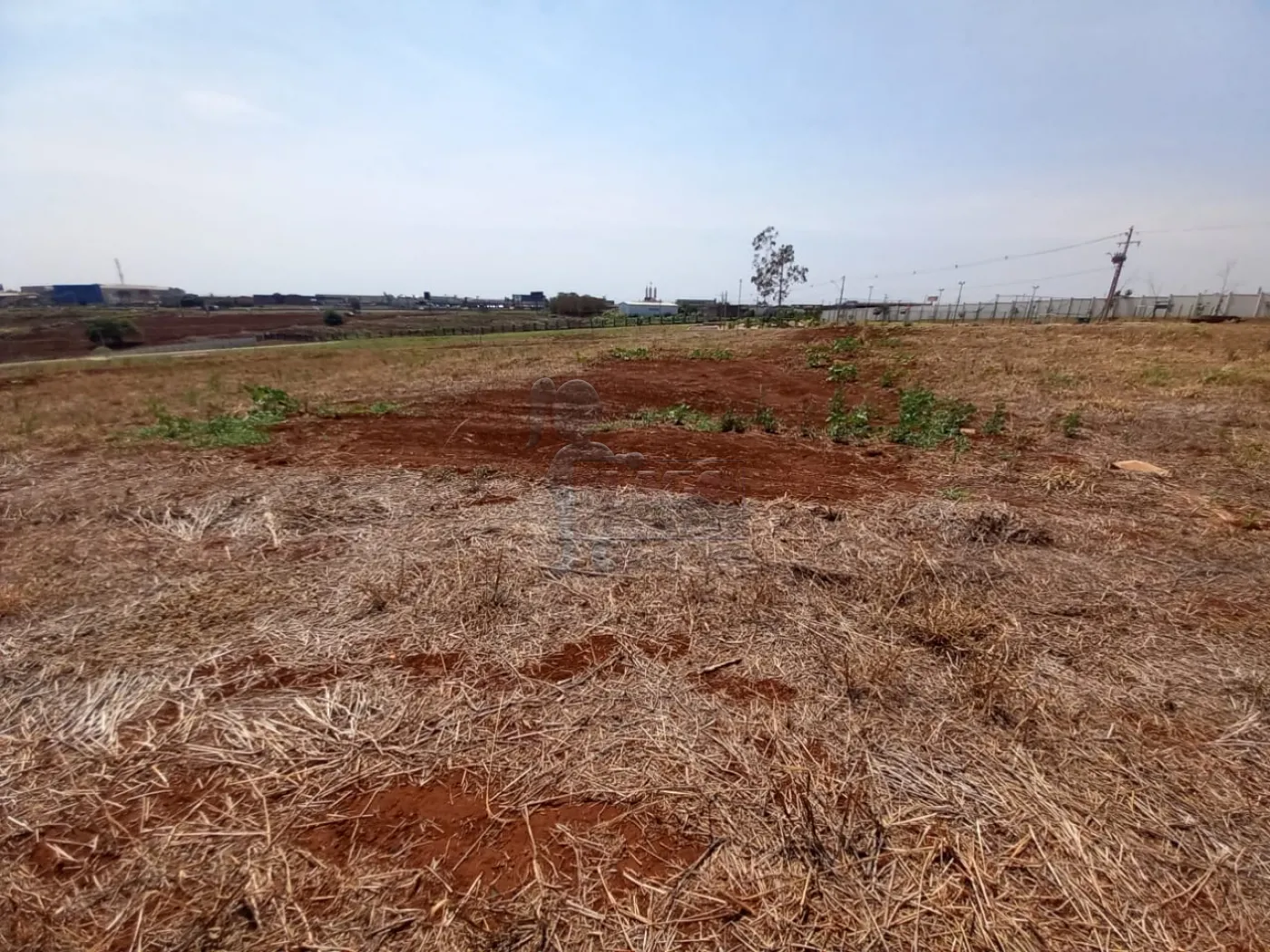 Comprar Terreno / Condomínio em Cravinhos R$ 361.000,00 - Foto 2