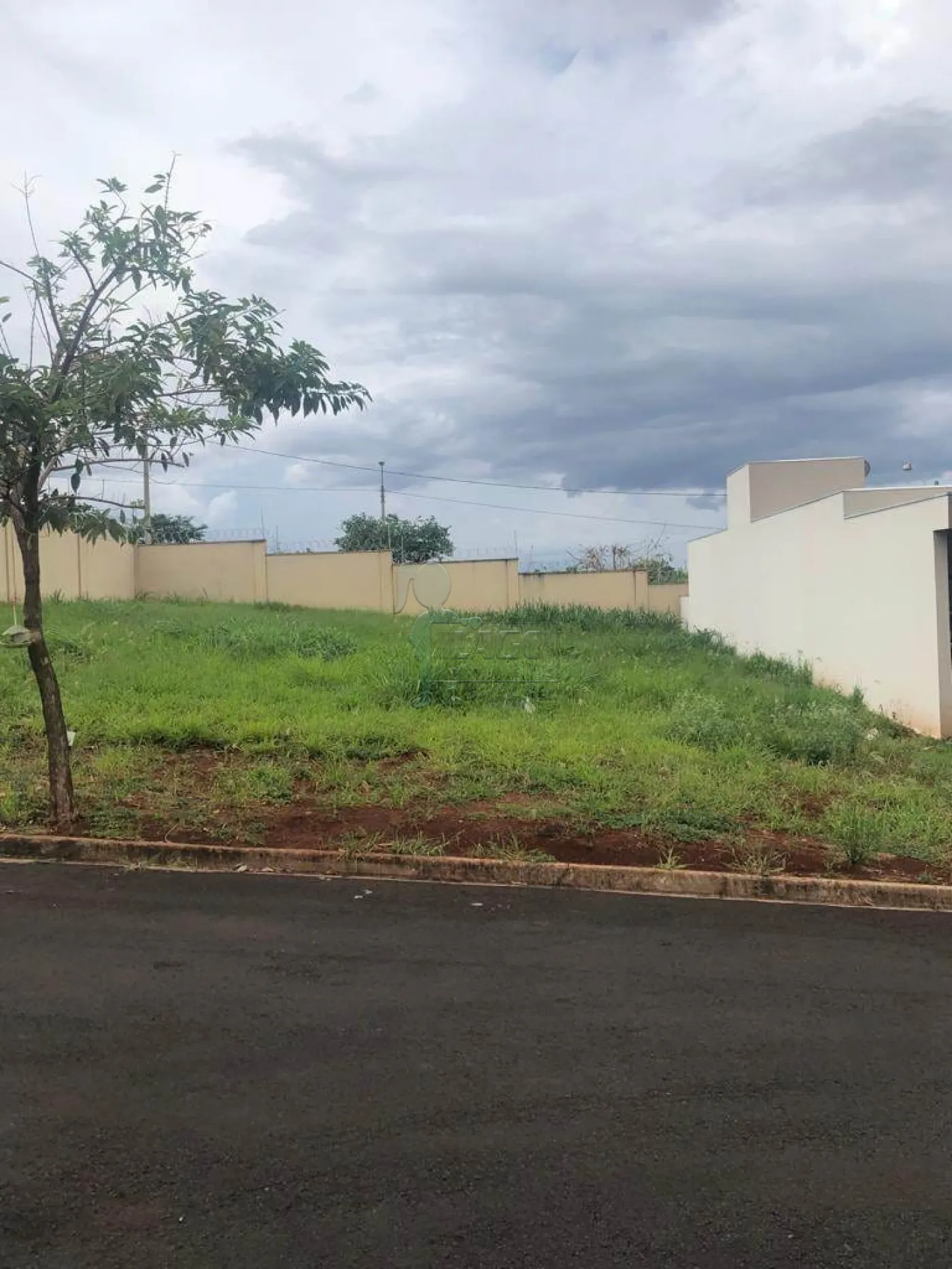 Comprar Terreno / Condomínio em Ribeirão Preto R$ 220.000,00 - Foto 3