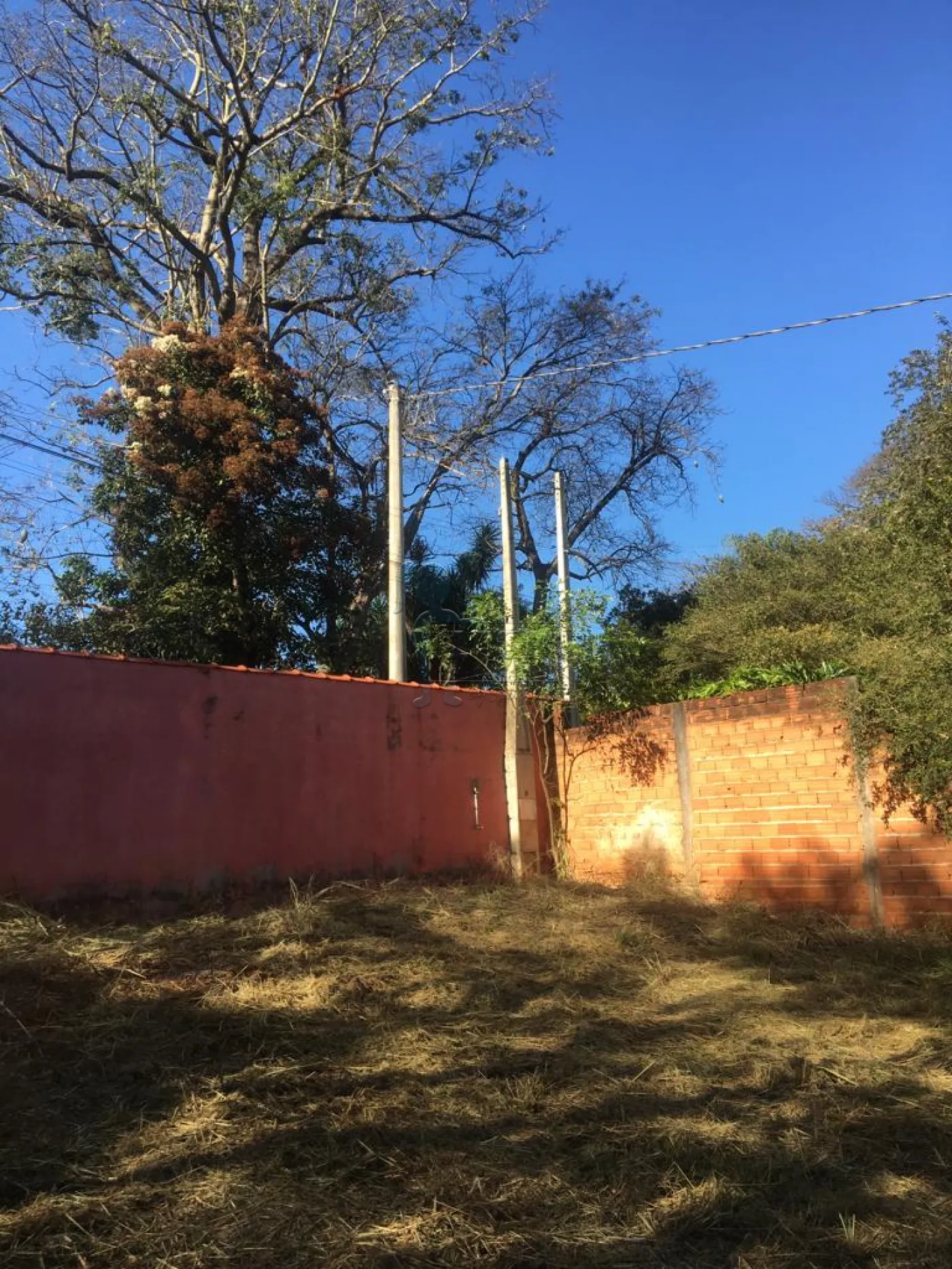 Comprar Terreno / Padrão em Ribeirão Preto R$ 1.495.000,00 - Foto 6