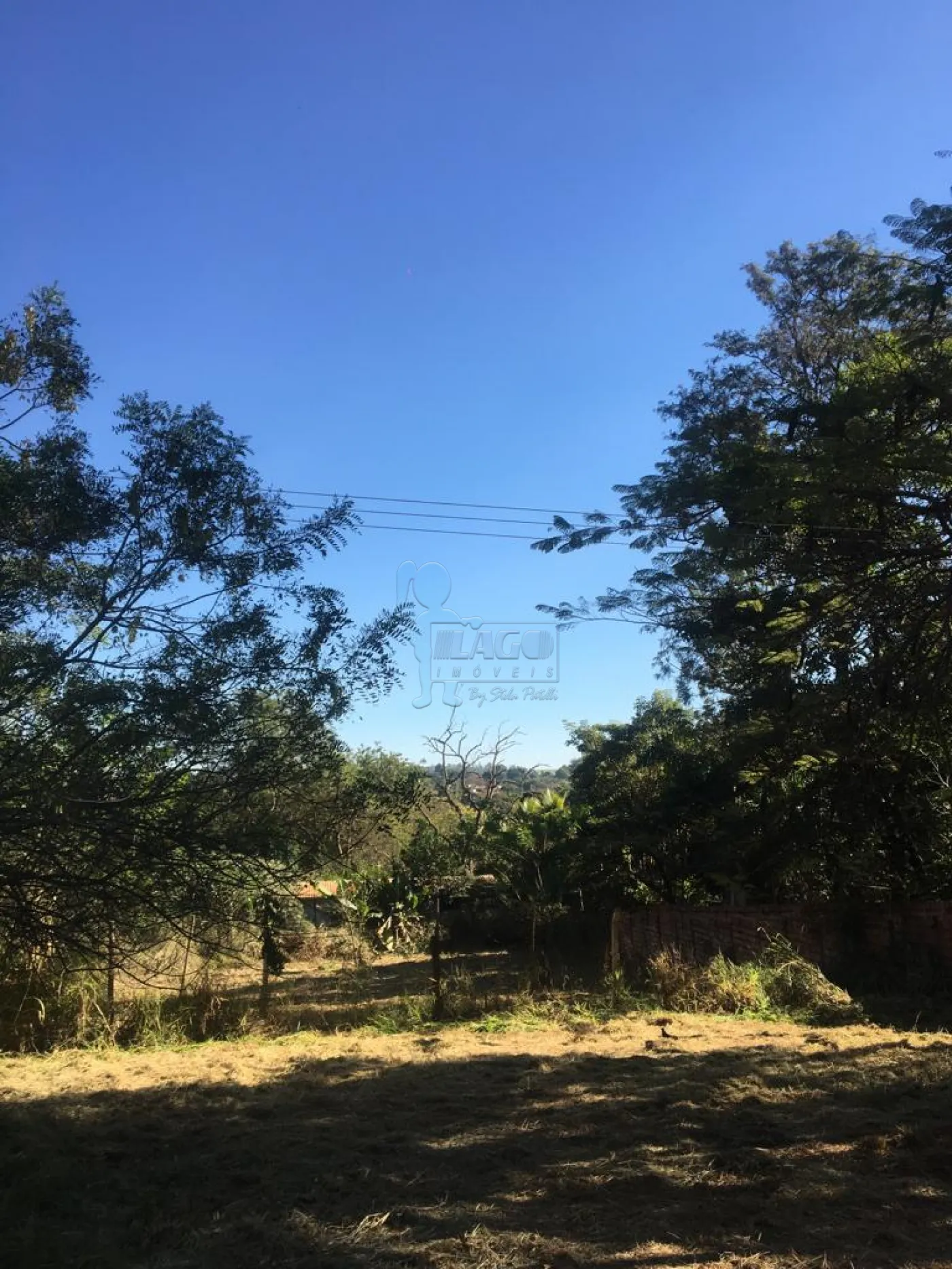 Comprar Terreno / Padrão em Ribeirão Preto R$ 1.495.000,00 - Foto 7