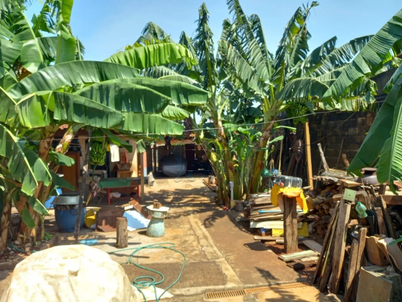 Comprar Casa / Padrão em Ribeirão Preto R$ 742.000,00 - Foto 8