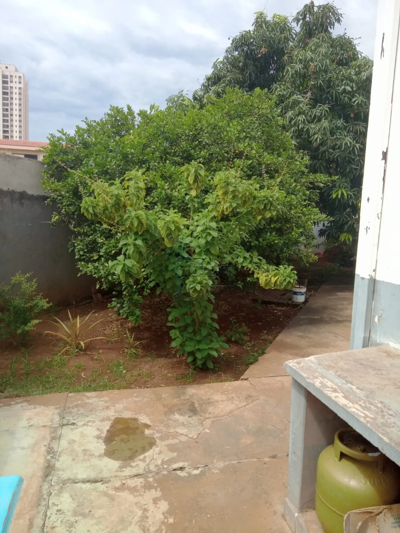 Comprar Casa / Padrão em Sertãozinho R$ 550.000,00 - Foto 17