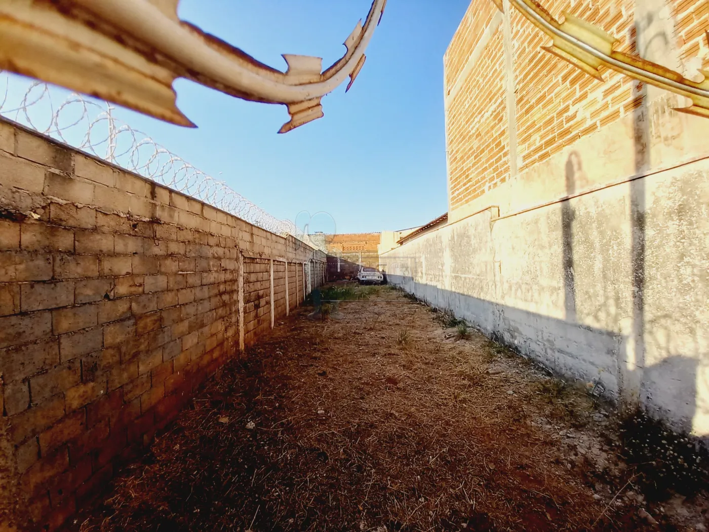 Alugar Terreno / Padrão em Ribeirão Preto R$ 1.600,00 - Foto 1