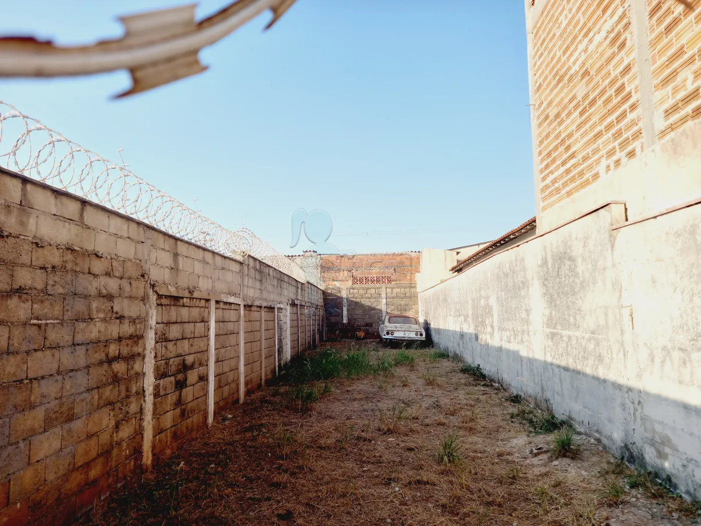 Alugar Terreno / Padrão em Ribeirão Preto R$ 1.600,00 - Foto 3