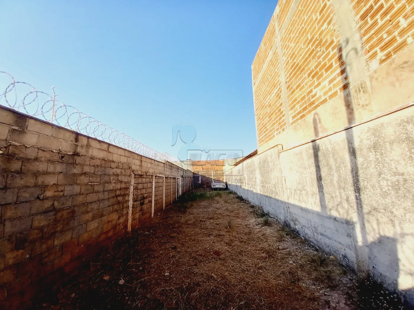 Alugar Terreno / Padrão em Ribeirão Preto R$ 1.600,00 - Foto 5