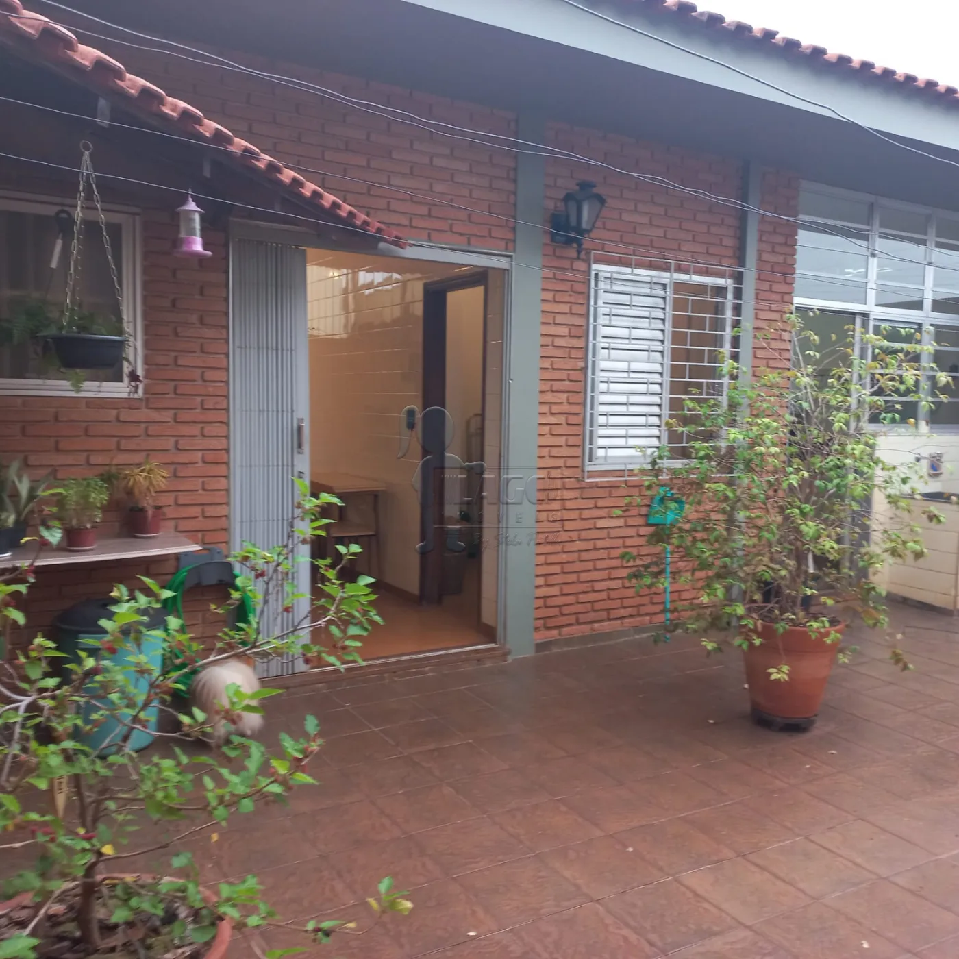 Comprar Casa / Padrão em Ribeirão Preto R$ 800.000,00 - Foto 13