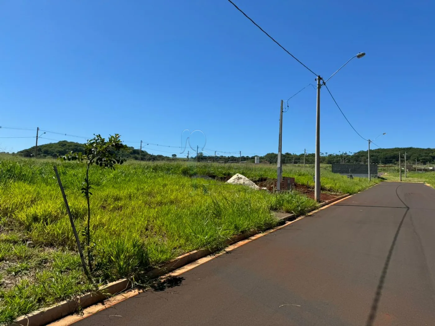 Comprar Terrenos / Padrão em Ribeirão Preto R$ 115.000,00 - Foto 3