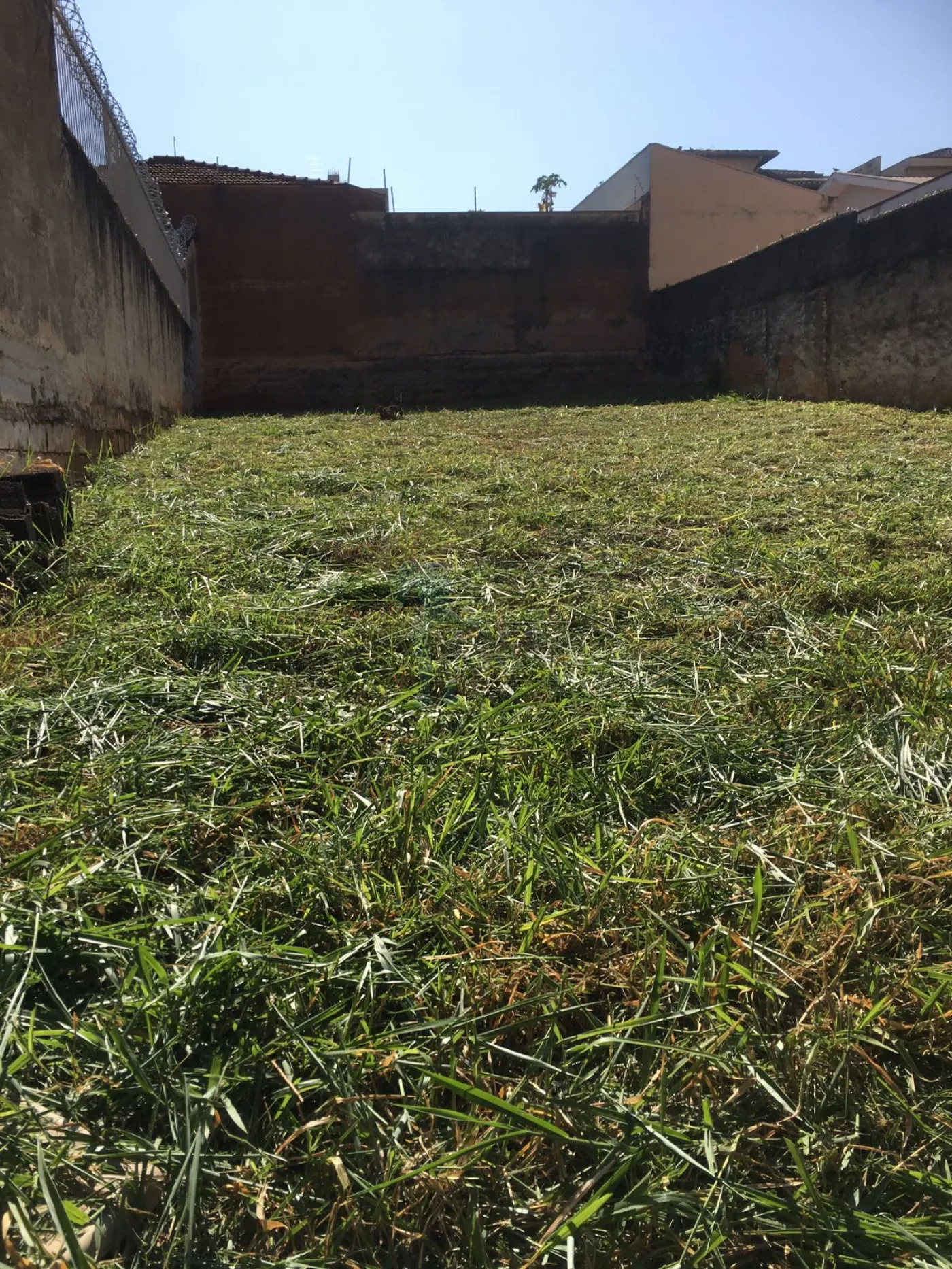 Comprar Terreno / Padrão em Ribeirão Preto R$ 265.000,00 - Foto 1