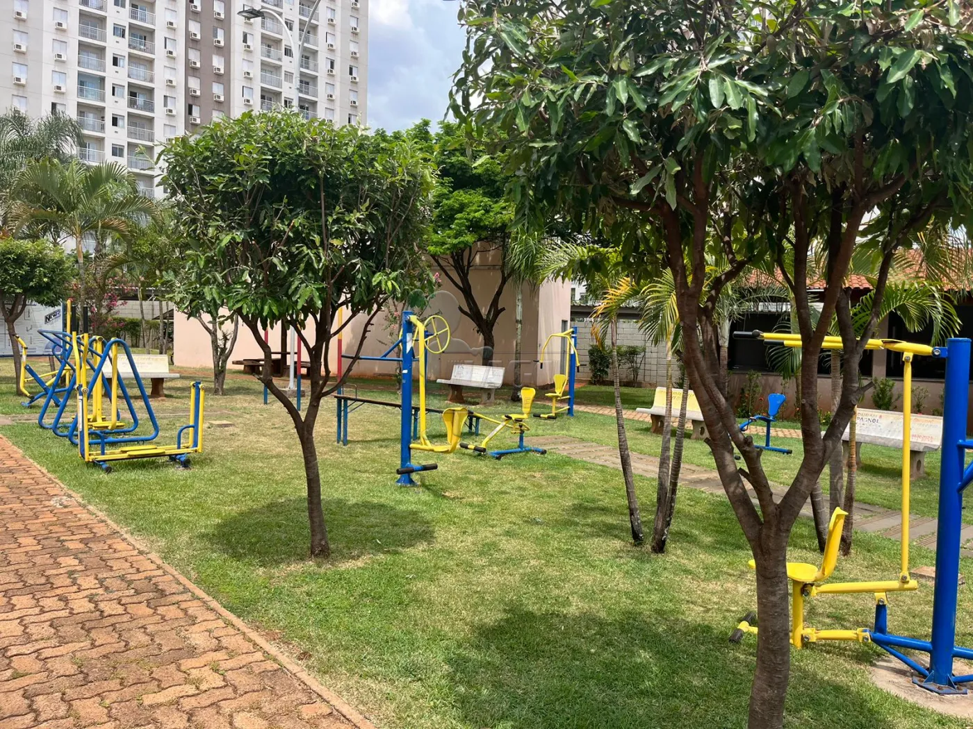 Alugar Apartamento / Padrão em Ribeirão Preto R$ 650,00 - Foto 11