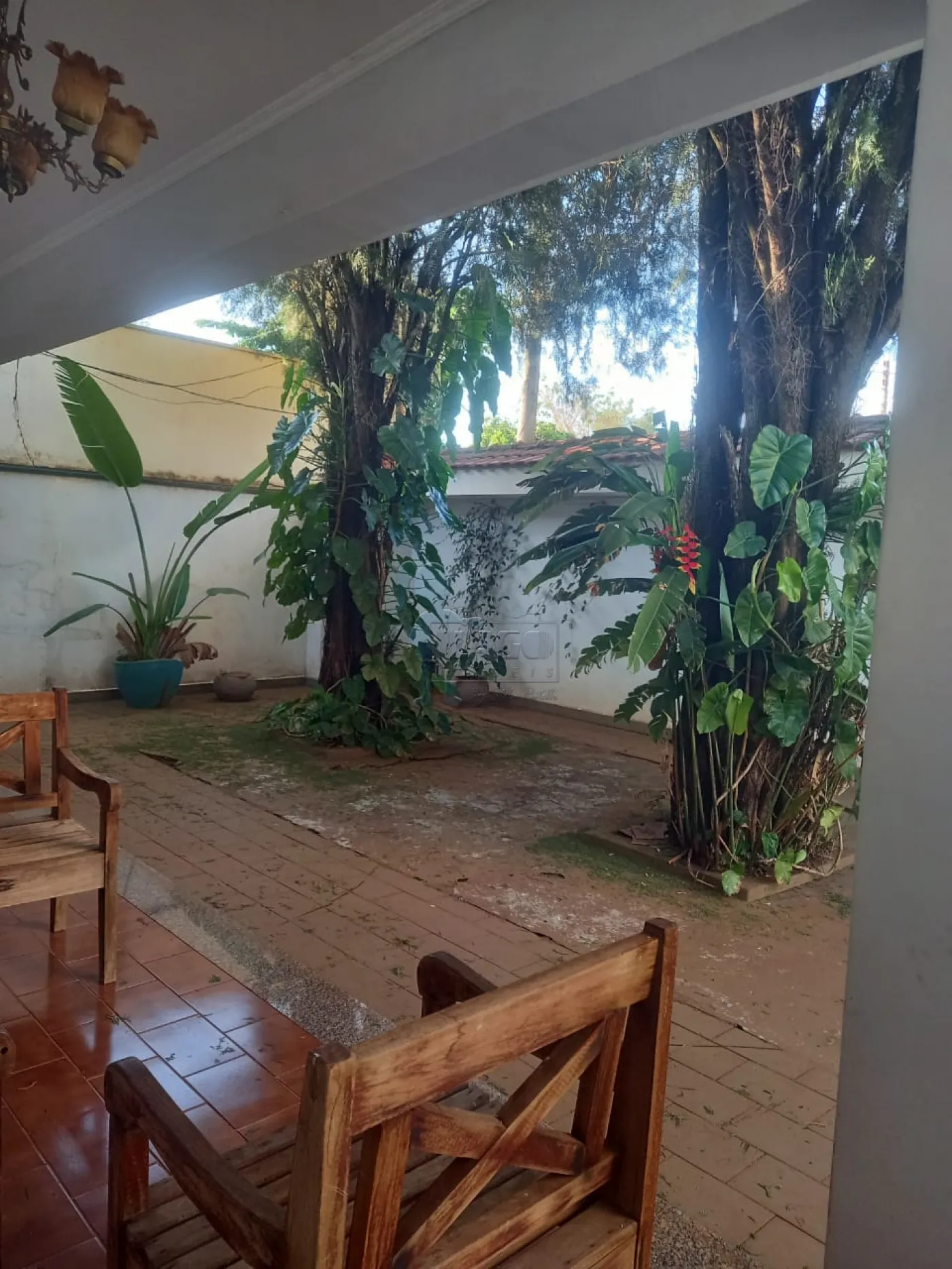 Comprar Casa / Padrão em Ribeirão Preto R$ 800.000,00 - Foto 3