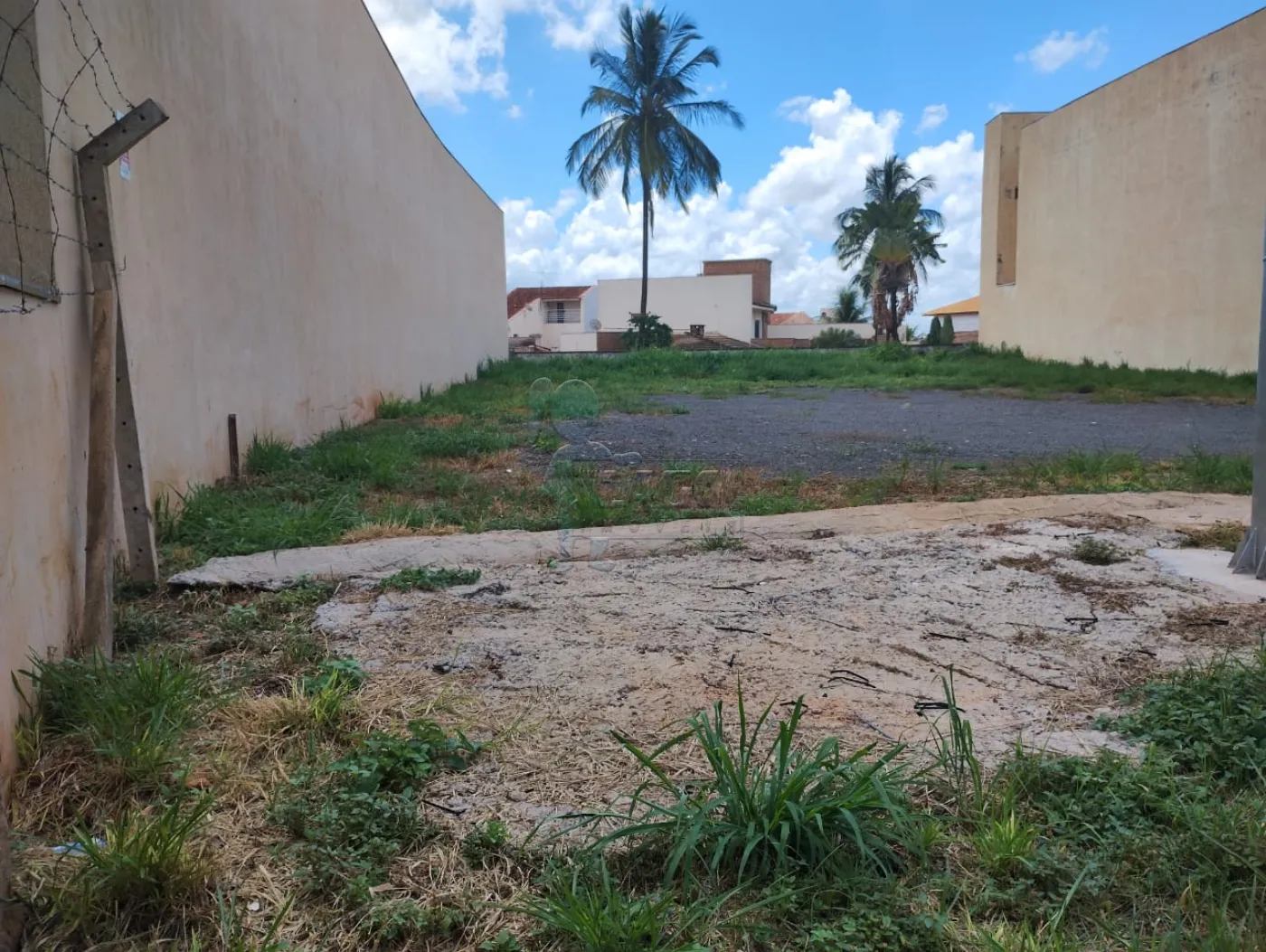 Alugar Terreno / Padrão em Ribeirão Preto R$ 3.500,00 - Foto 6