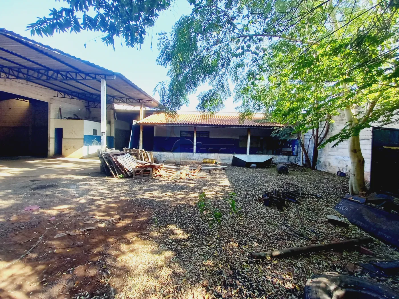 Alugar Comercial padrão / Galpão - Armazém em Ribeirão Preto R$ 12.000,00 - Foto 17