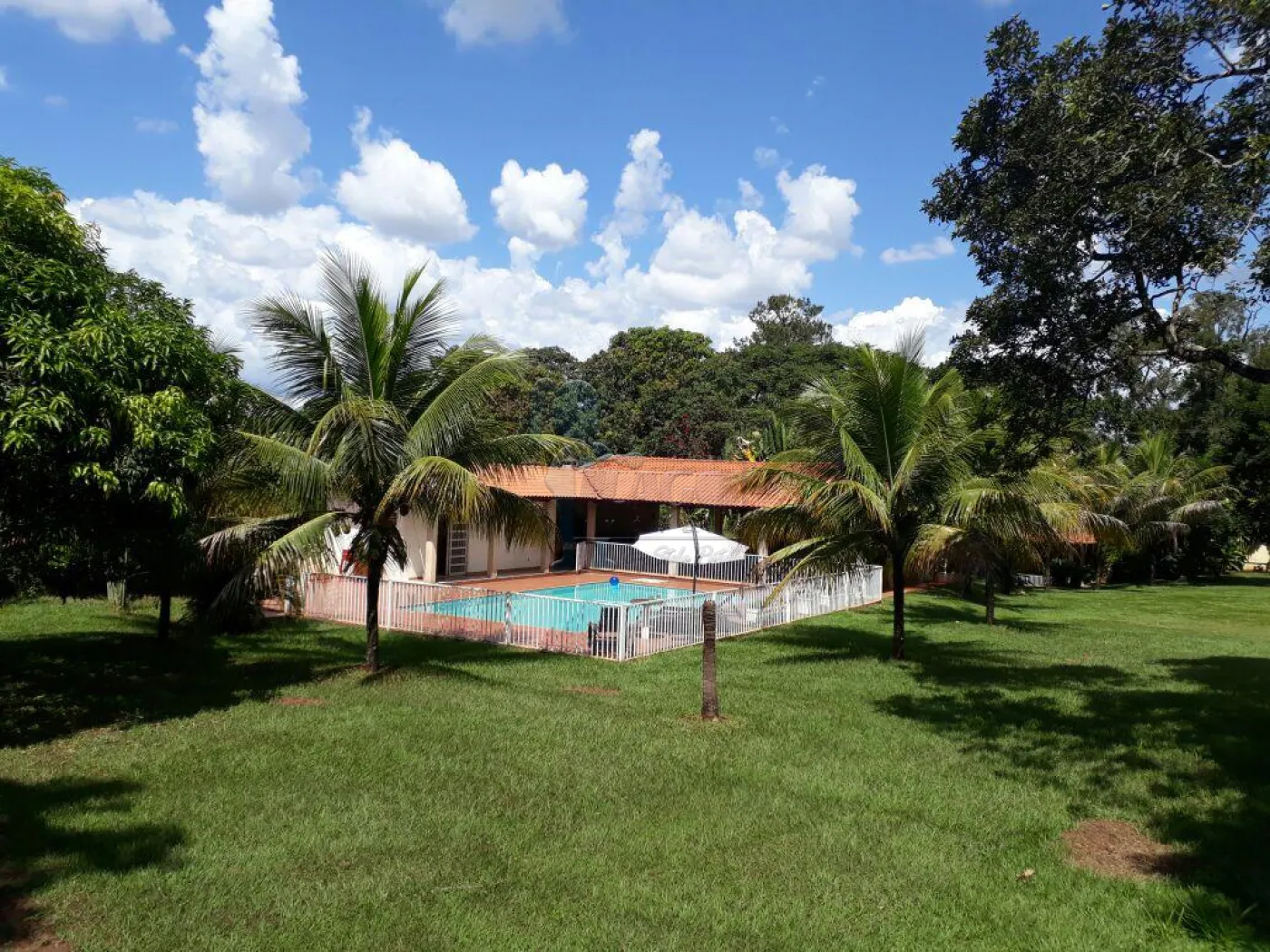 Comprar Casa / Chácara - Rancho em Ribeirão Preto R$ 1.500.000,00 - Foto 1