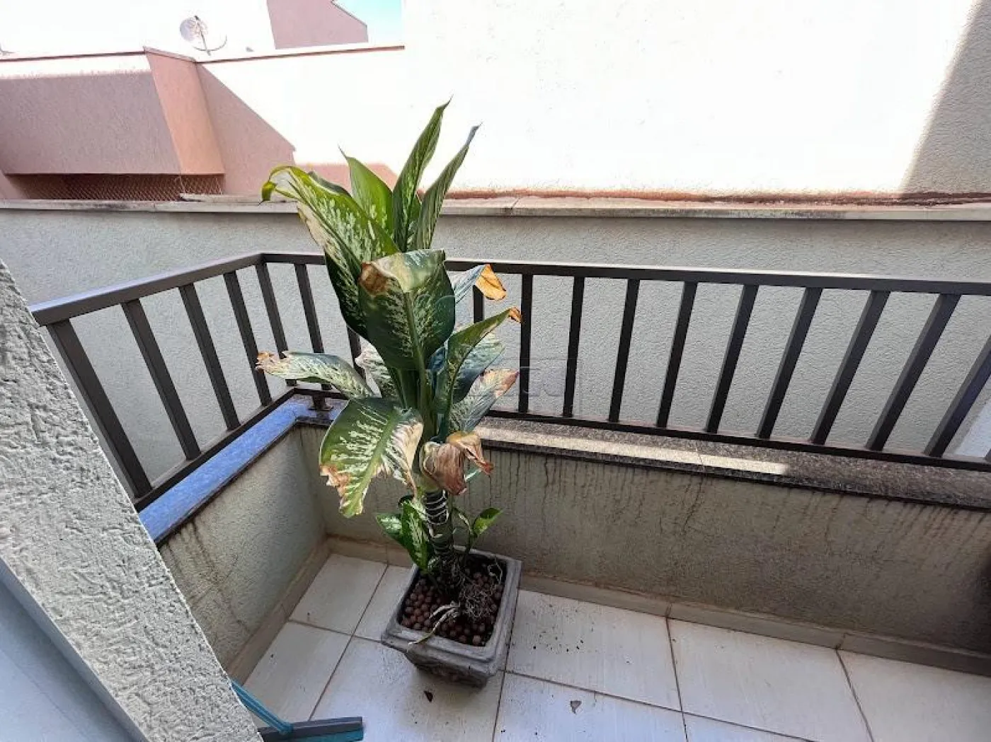 Comprar Apartamento / Padrão em Ribeirão Preto R$ 290.000,00 - Foto 3