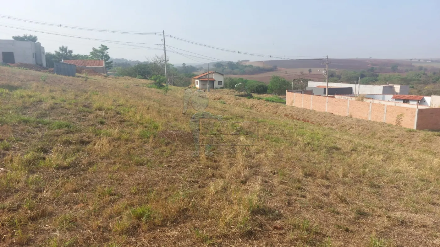 Comprar Terreno / Padrão em Sertãozinho R$ 120.000,00 - Foto 6