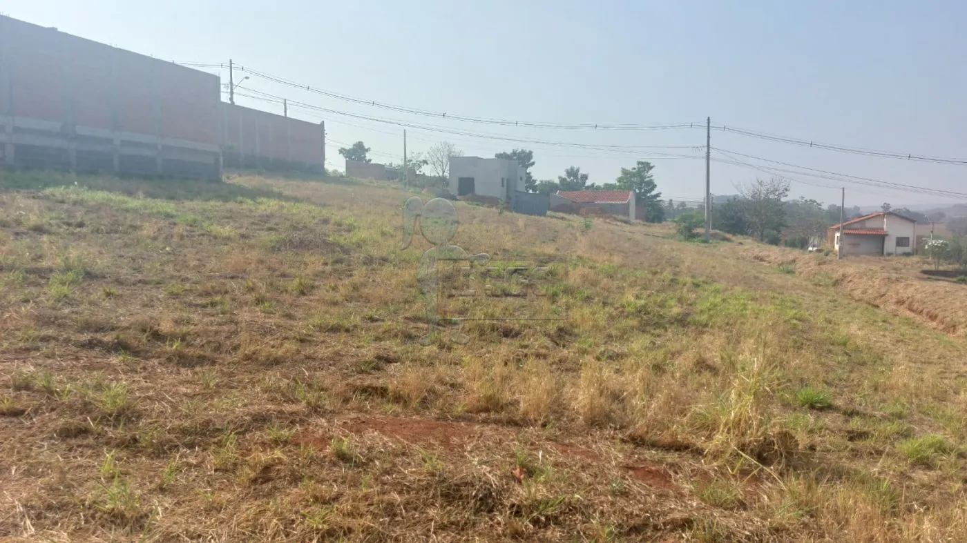 Comprar Terreno / Padrão em Sertãozinho R$ 120.000,00 - Foto 10