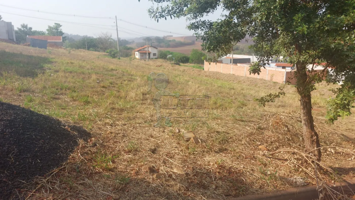 Comprar Terreno / Padrão em Sertãozinho R$ 120.000,00 - Foto 4