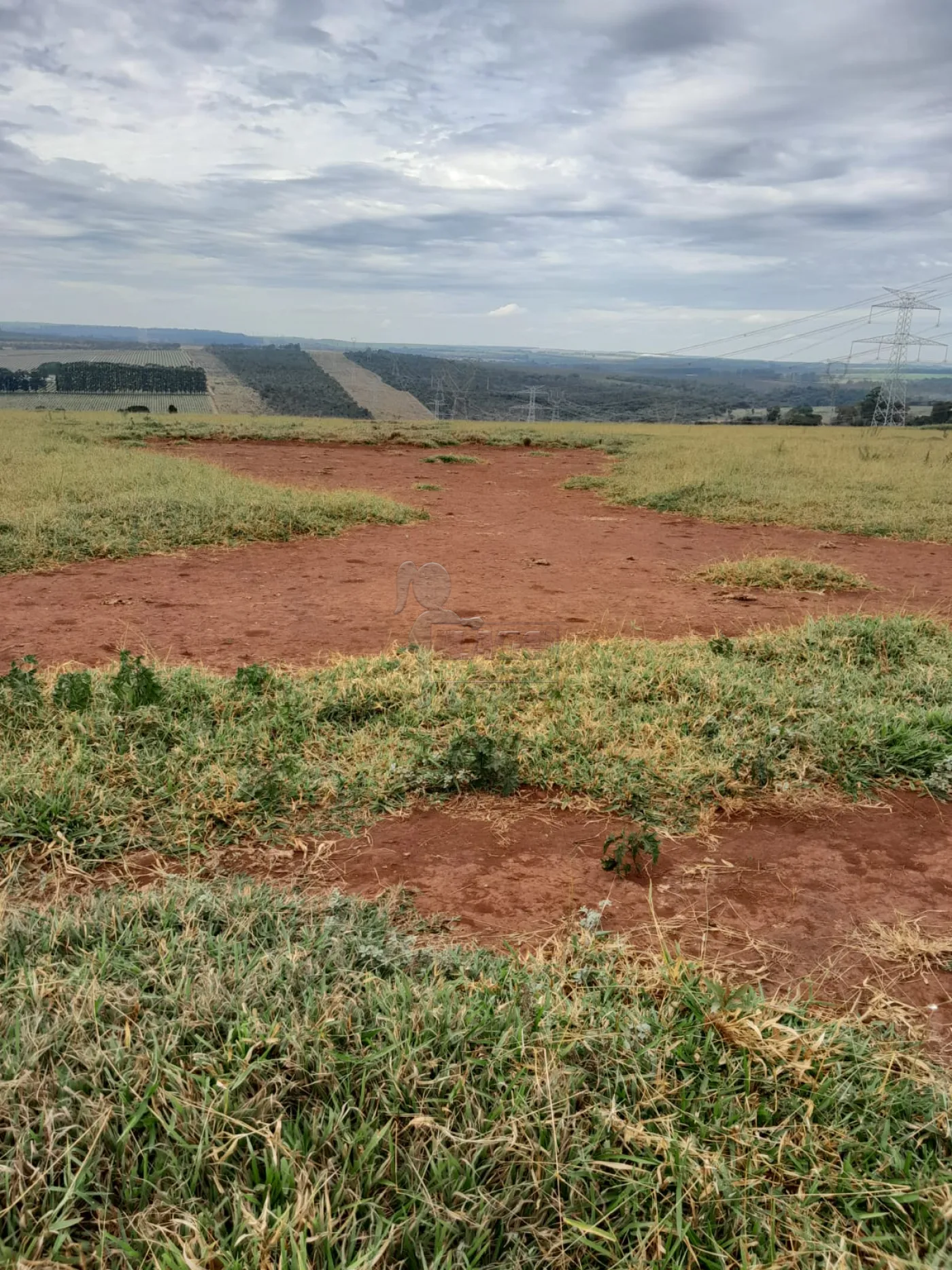 Comprar Terreno / Área em São Carlos R$ 5.500.000,00 - Foto 6