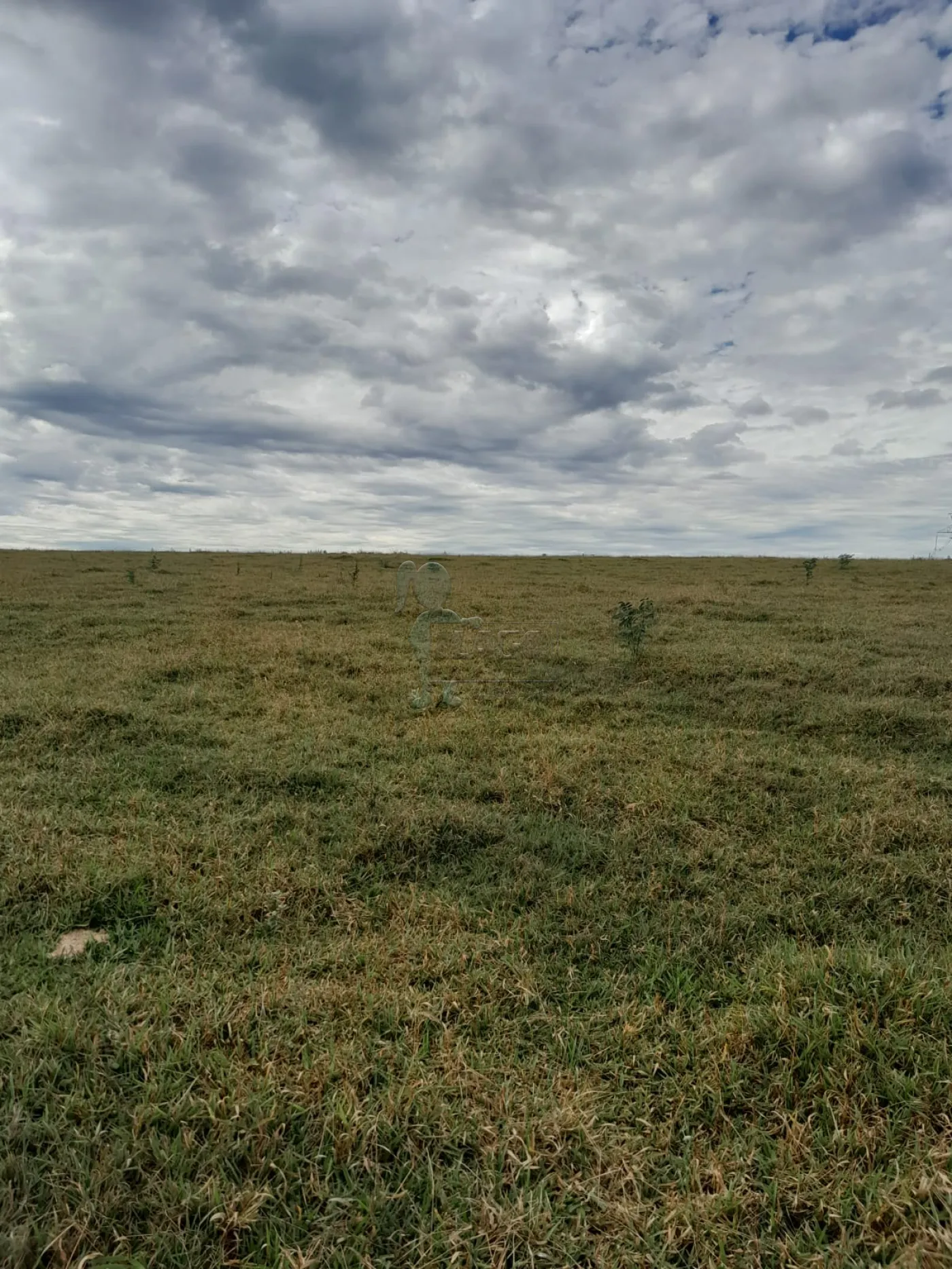 Comprar Terreno / Área em São Carlos R$ 5.500.000,00 - Foto 7