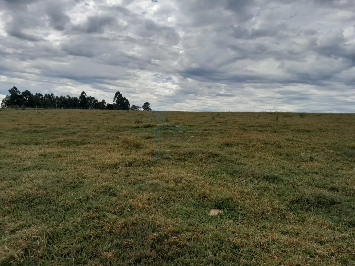 Comprar Terreno / Área em São Carlos R$ 5.500.000,00 - Foto 8