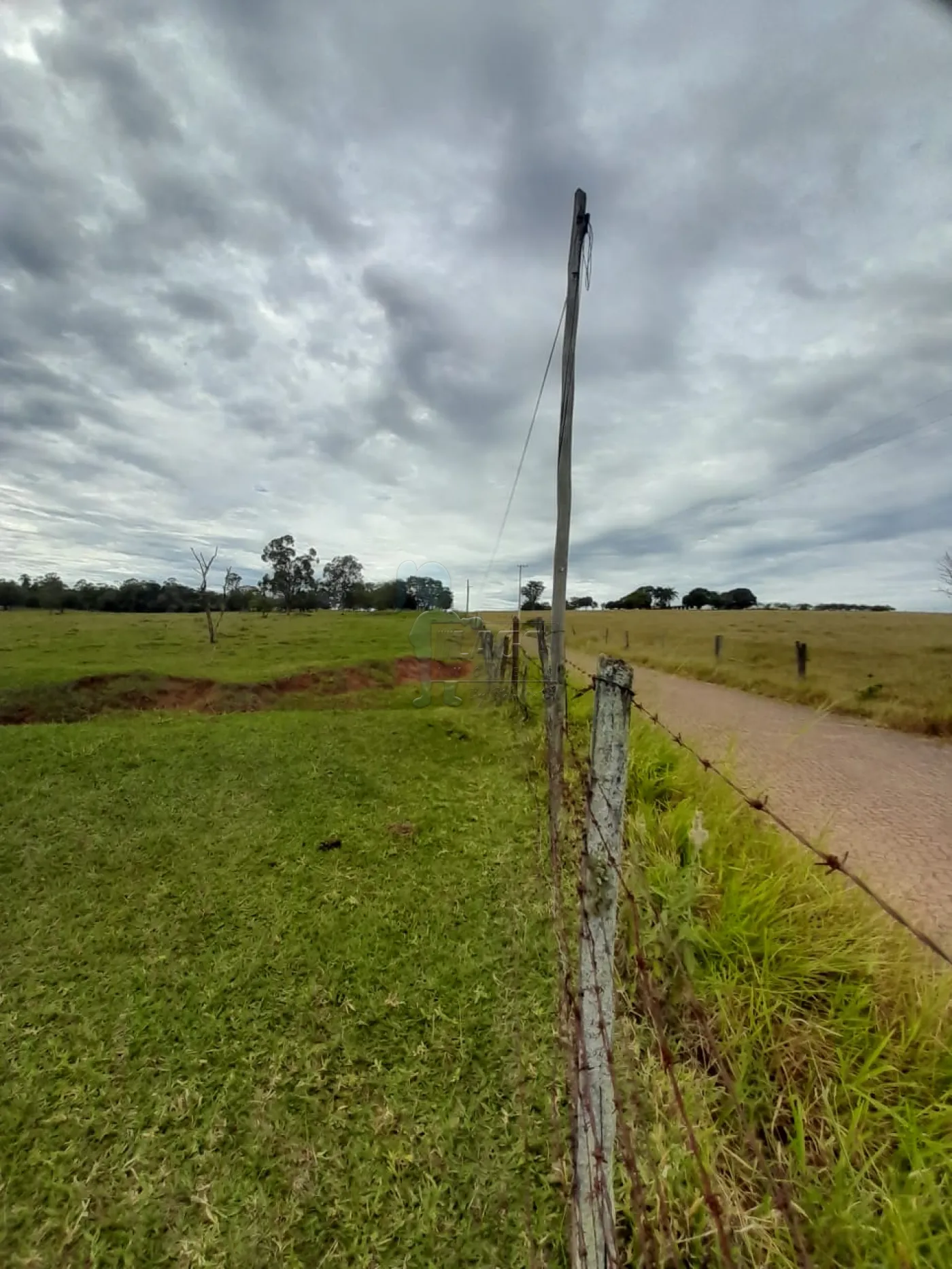 Comprar Terreno / Área em São Carlos R$ 5.500.000,00 - Foto 2