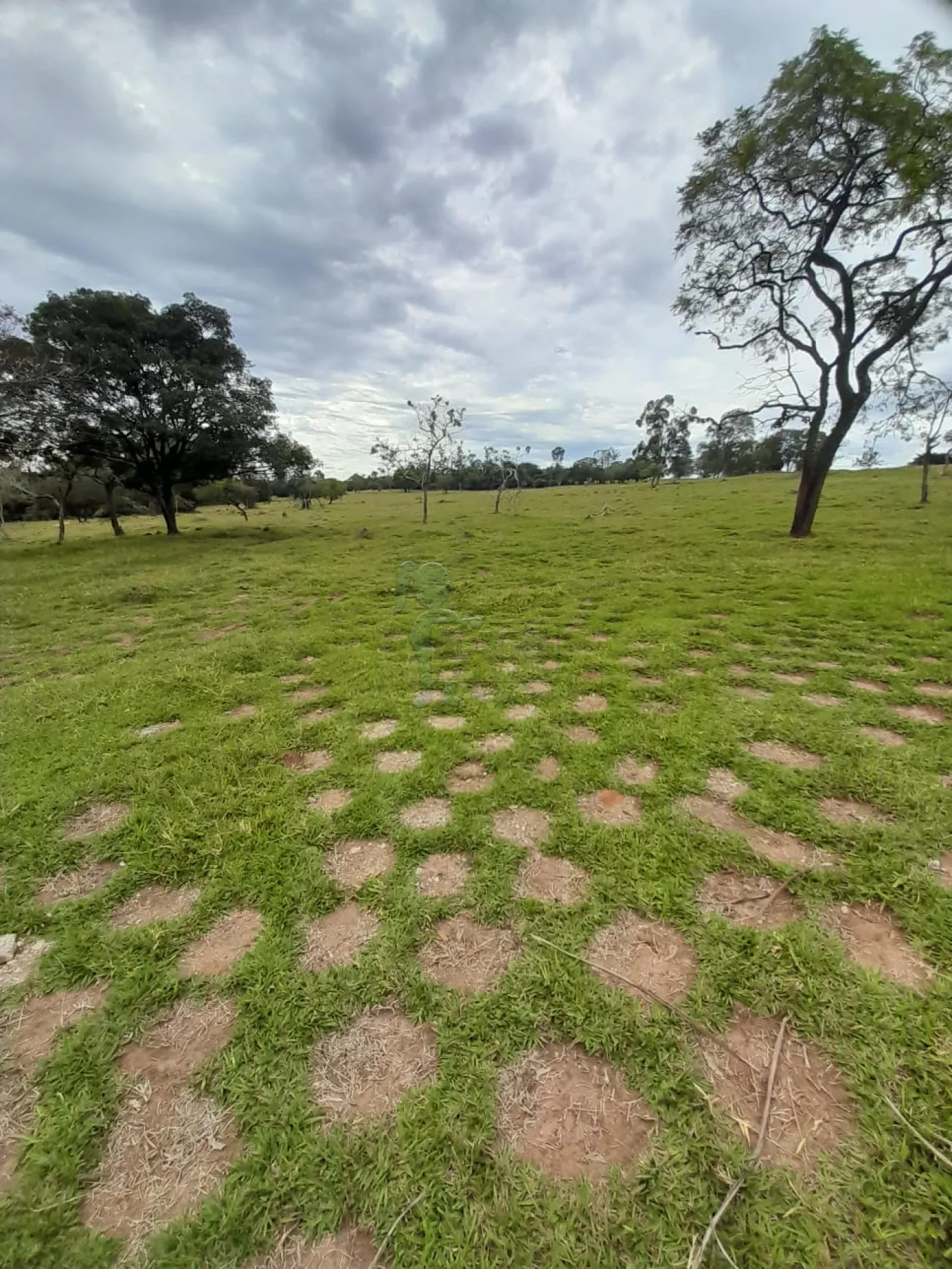 Comprar Terreno / Área em São Carlos R$ 5.500.000,00 - Foto 1