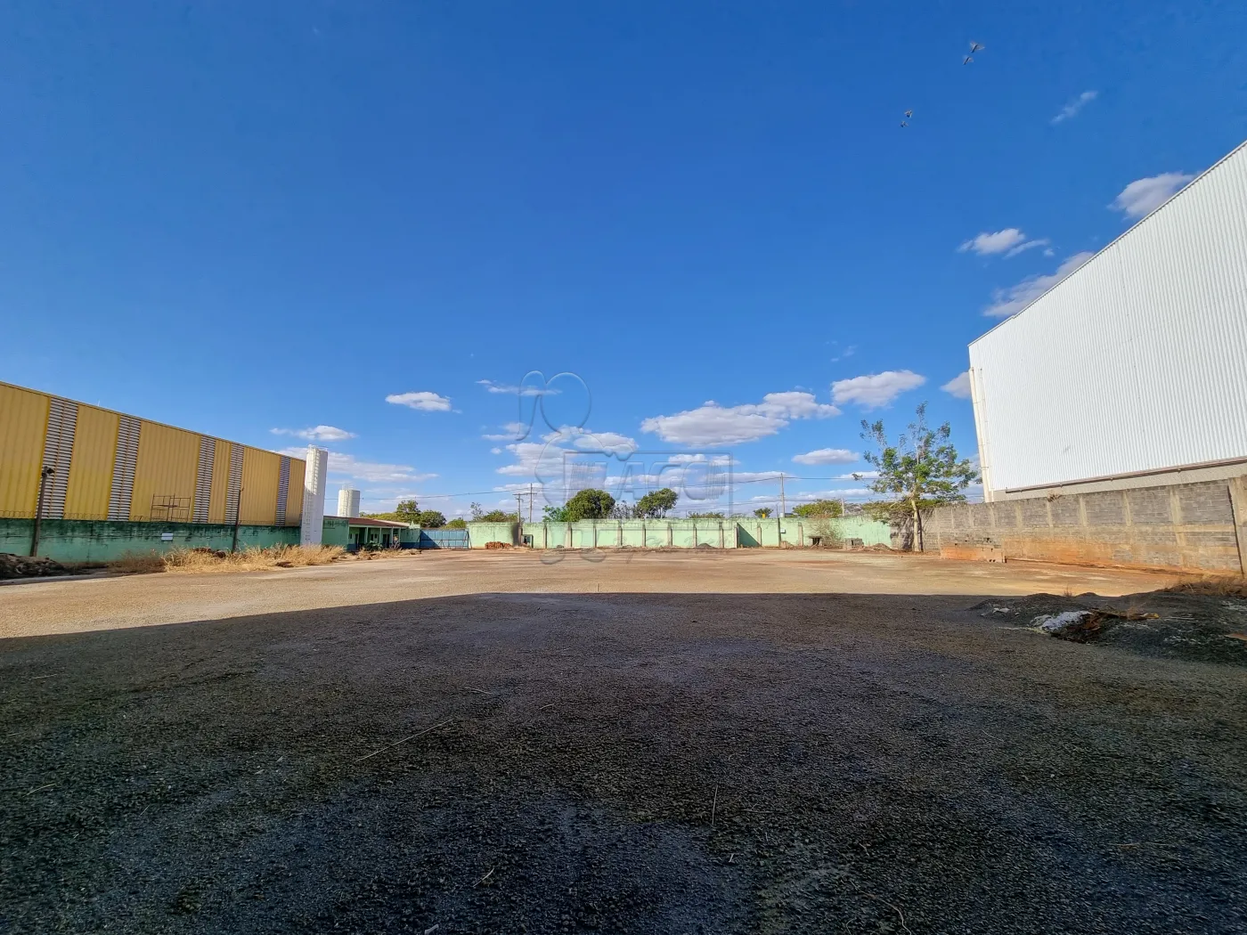 Alugar Comercial padrão / Galpão - Armazém em Ribeirão Preto R$ 28.800,00 - Foto 7