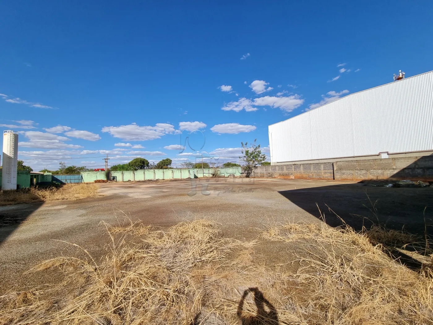 Alugar Comercial padrão / Galpão - Armazém em Ribeirão Preto R$ 28.800,00 - Foto 8