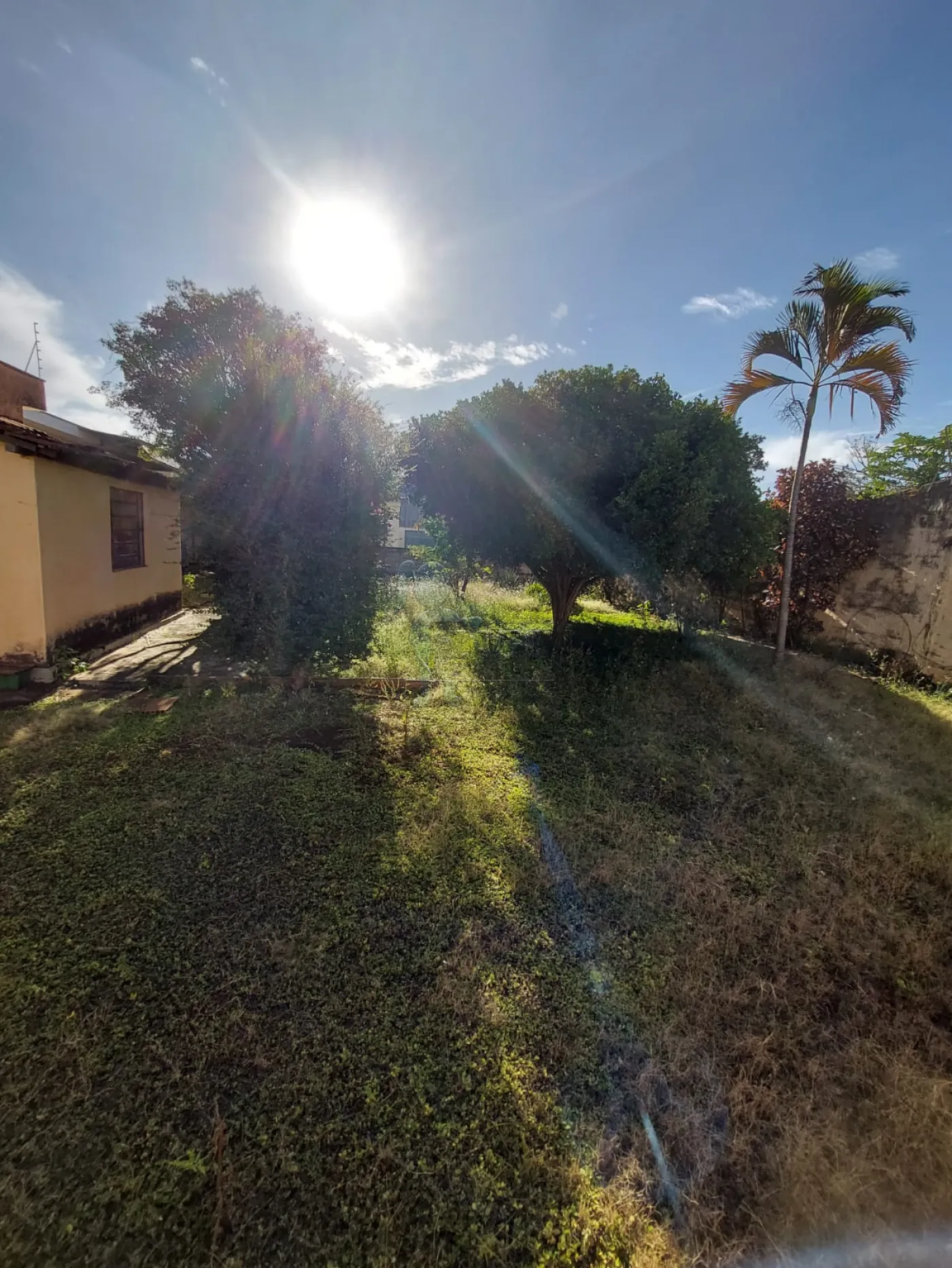 Comprar Casa / Padrão em Ribeirão Preto R$ 699.000,00 - Foto 5