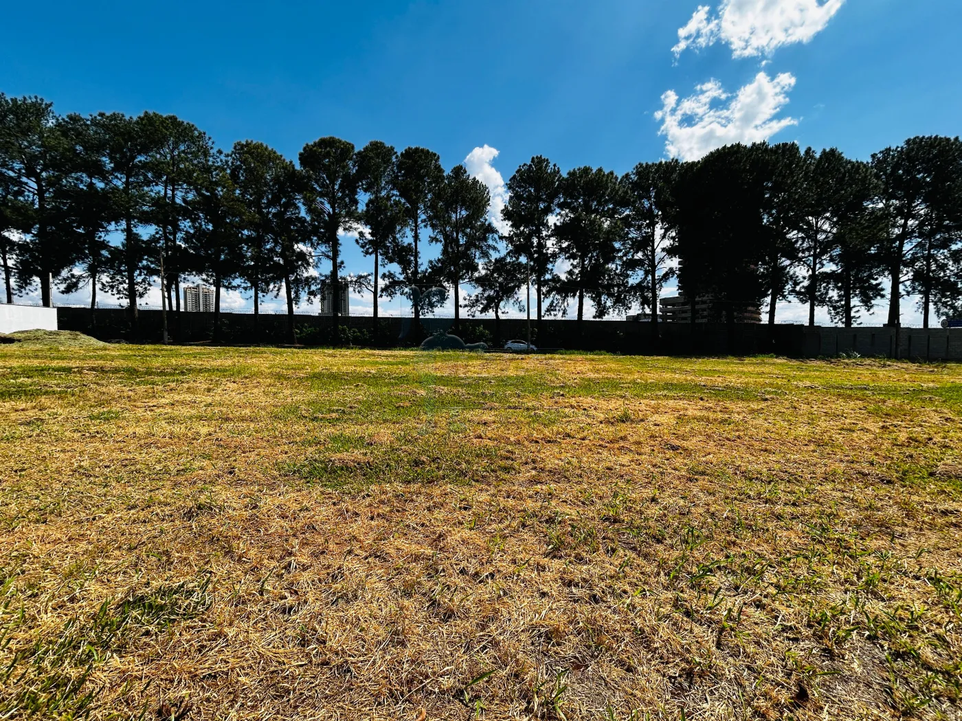 Comprar Terreno / Condomínio em Ribeirão Preto R$ 2.793.000,00 - Foto 4