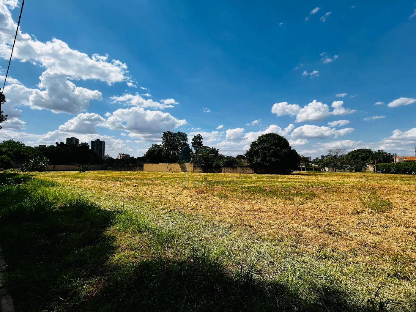 Comprar Terreno / Condomínio em Ribeirão Preto R$ 2.793.000,00 - Foto 6