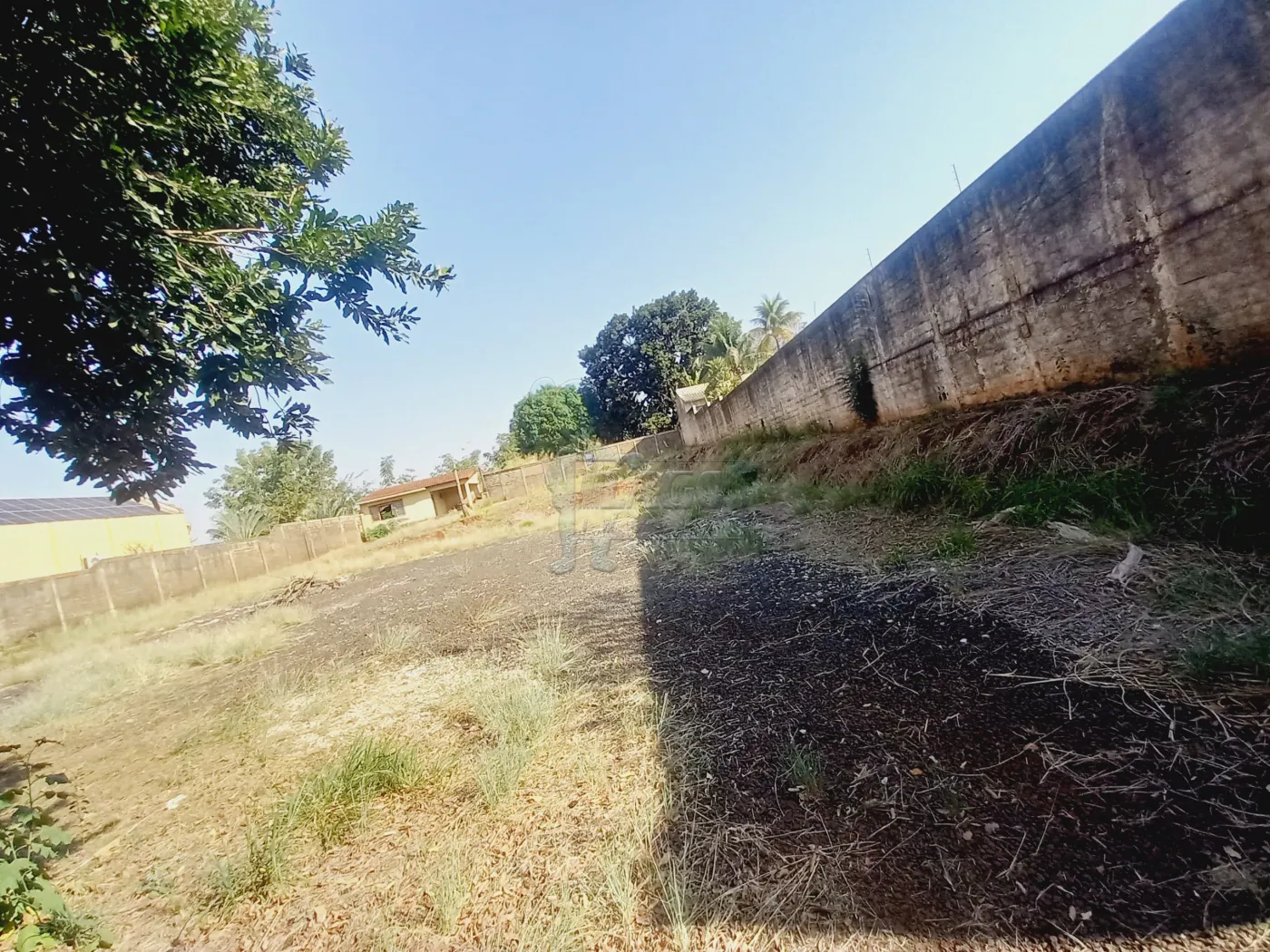 Alugar Terreno / Padrão em Ribeirão Preto R$ 6.000,00 - Foto 1