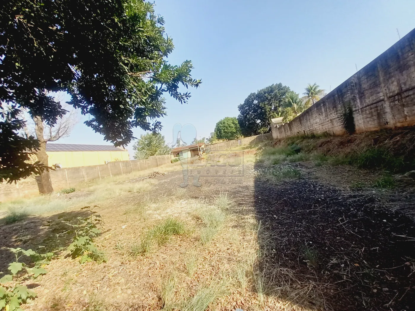 Alugar Terreno / Padrão em Ribeirão Preto R$ 6.000,00 - Foto 3