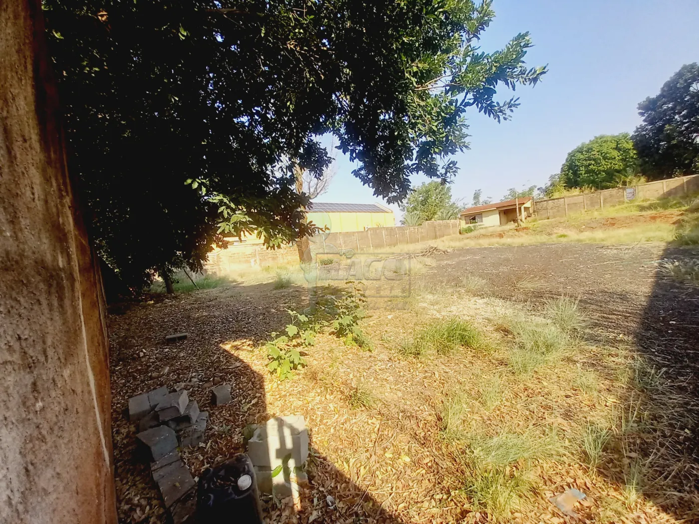 Alugar Terreno / Padrão em Ribeirão Preto R$ 6.000,00 - Foto 4