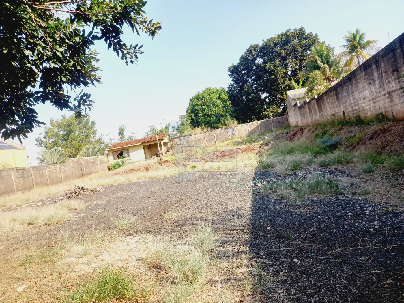 Alugar Terreno / Padrão em Ribeirão Preto R$ 6.000,00 - Foto 8