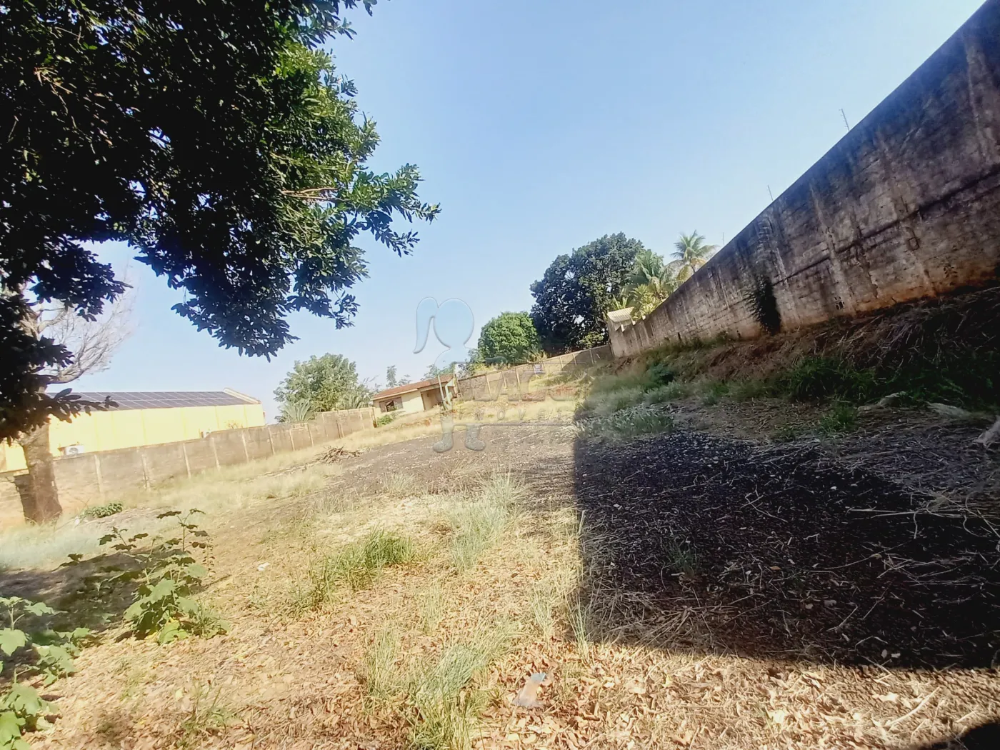 Alugar Terreno / Padrão em Ribeirão Preto R$ 6.000,00 - Foto 12