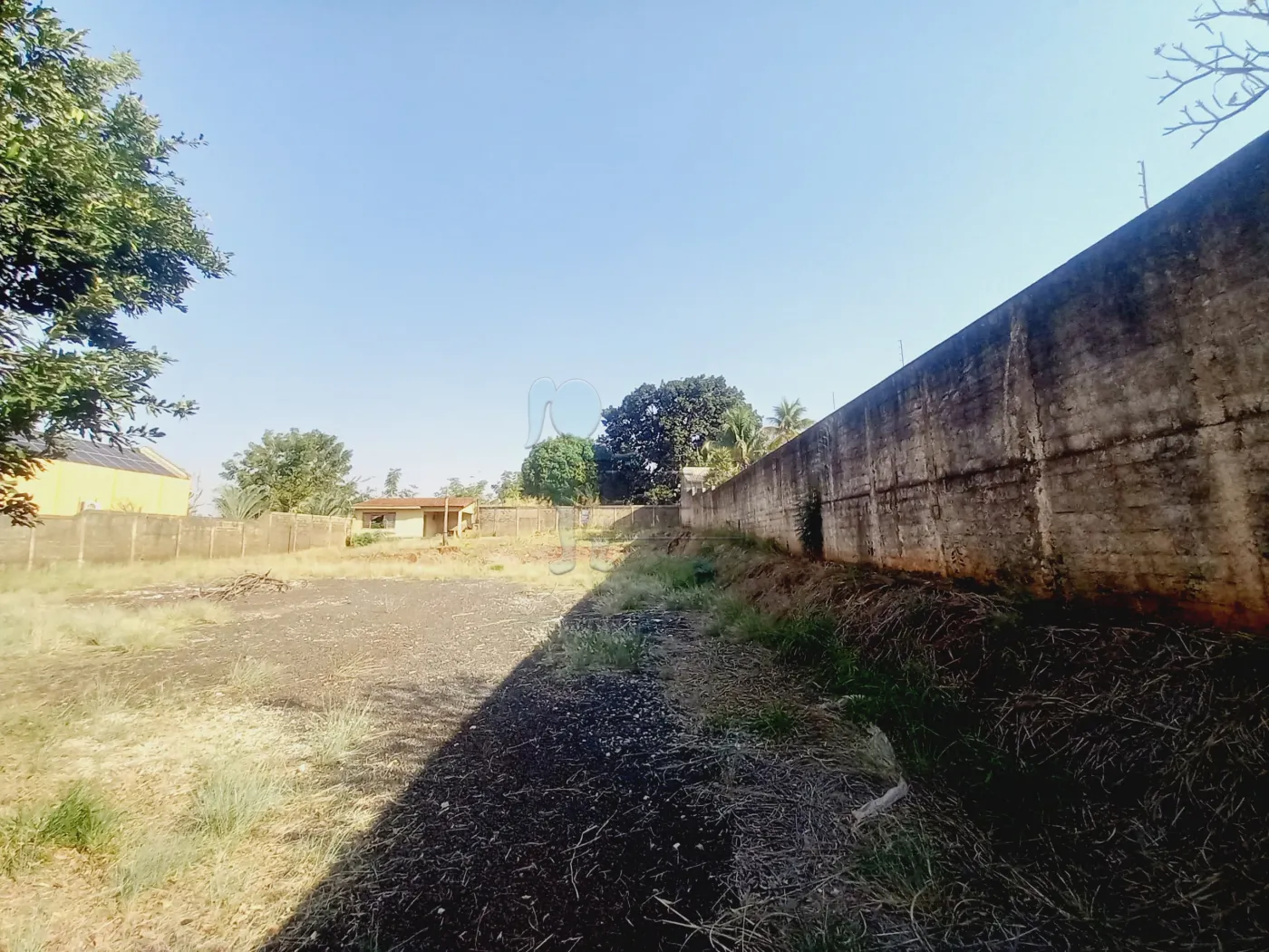 Alugar Terreno / Padrão em Ribeirão Preto R$ 6.000,00 - Foto 19