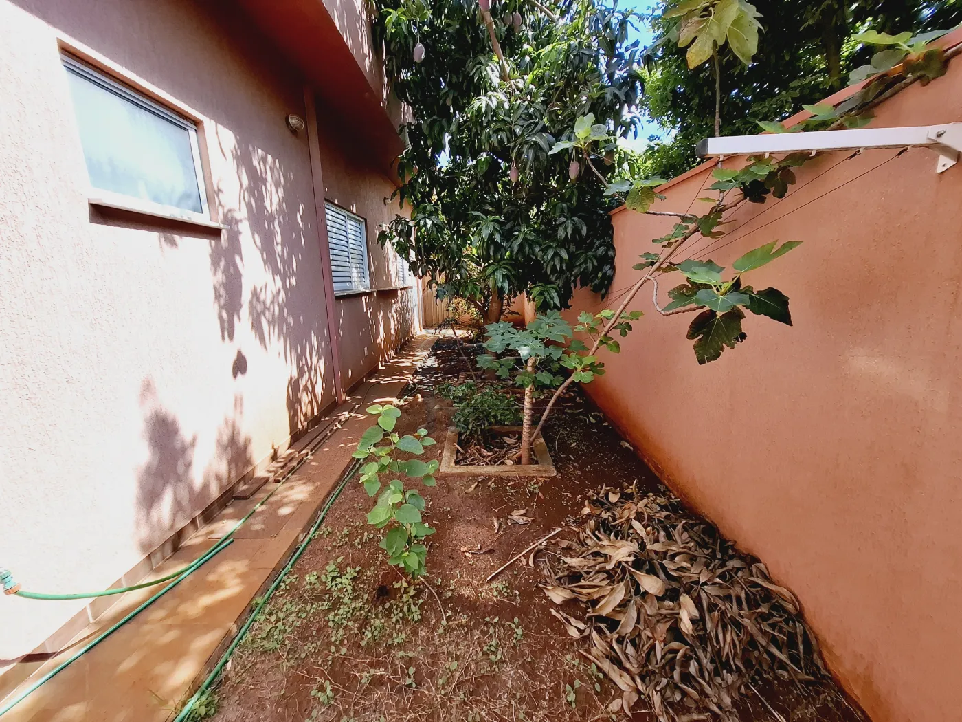 Alugar Casa condomínio / Padrão em Bonfim Paulista R$ 4.200,00 - Foto 4