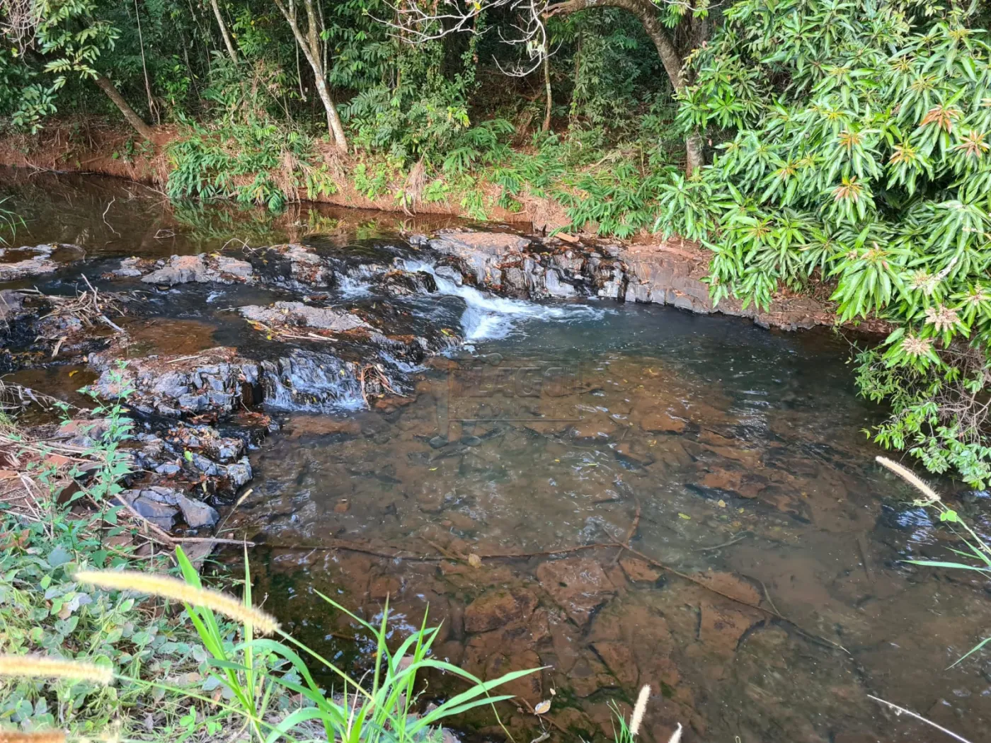 Comprar Casa / Chácara - Rancho em Jardinópolis R$ 1.100.000,00 - Foto 75