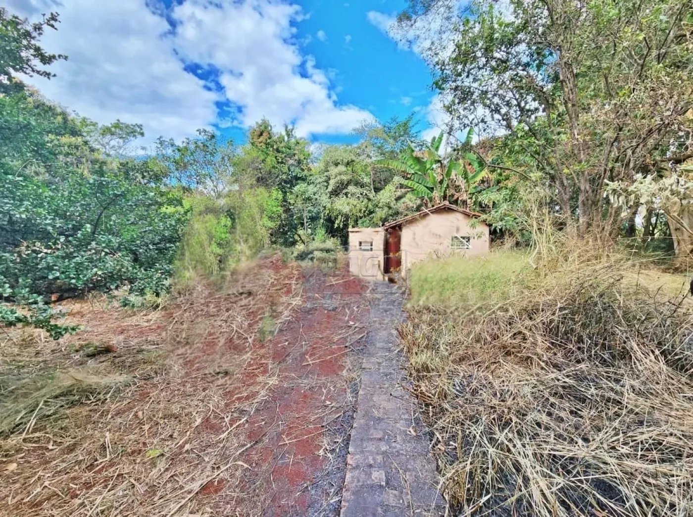 Comprar Casa / Chácara - Rancho em Ribeirão Preto R$ 500.000,00 - Foto 2