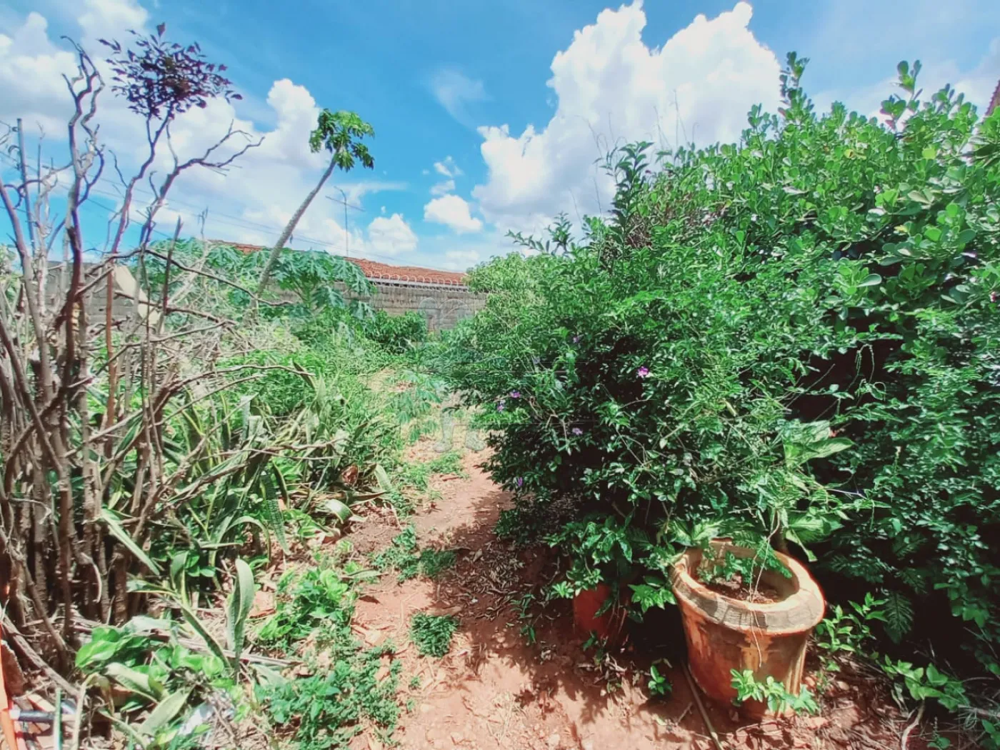 Comprar Terreno / Padrão em Ribeirão Preto R$ 310.000,00 - Foto 5