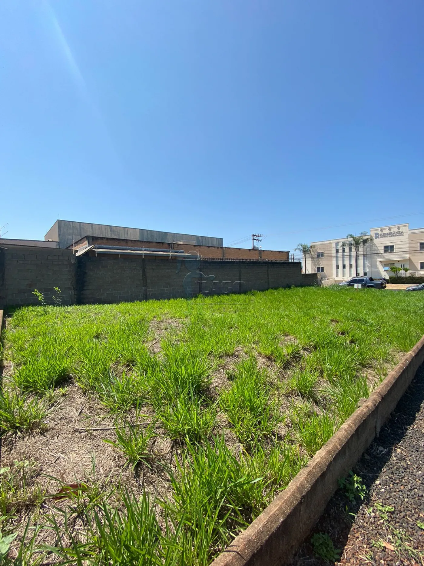 Comprar Terreno / Padrão em Ribeirão Preto R$ 500.000,00 - Foto 3