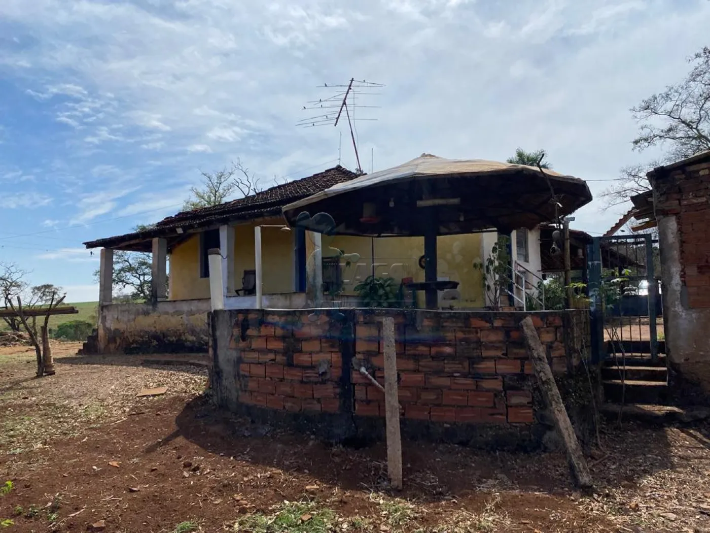 Comprar Rural / Fazenda em Serra Azul R$ 891.000,00 - Foto 8